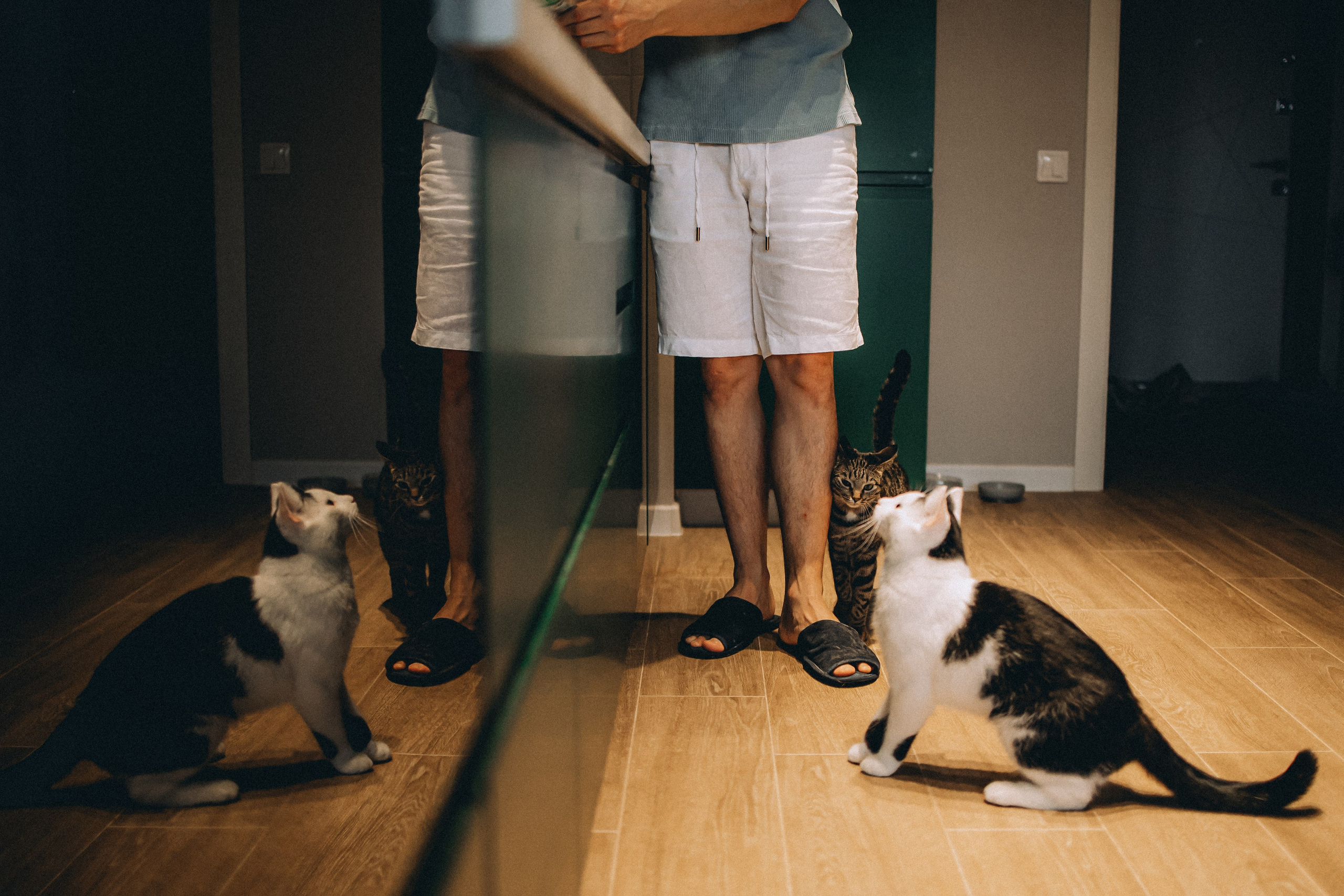 Рыся, Кепа и их семья