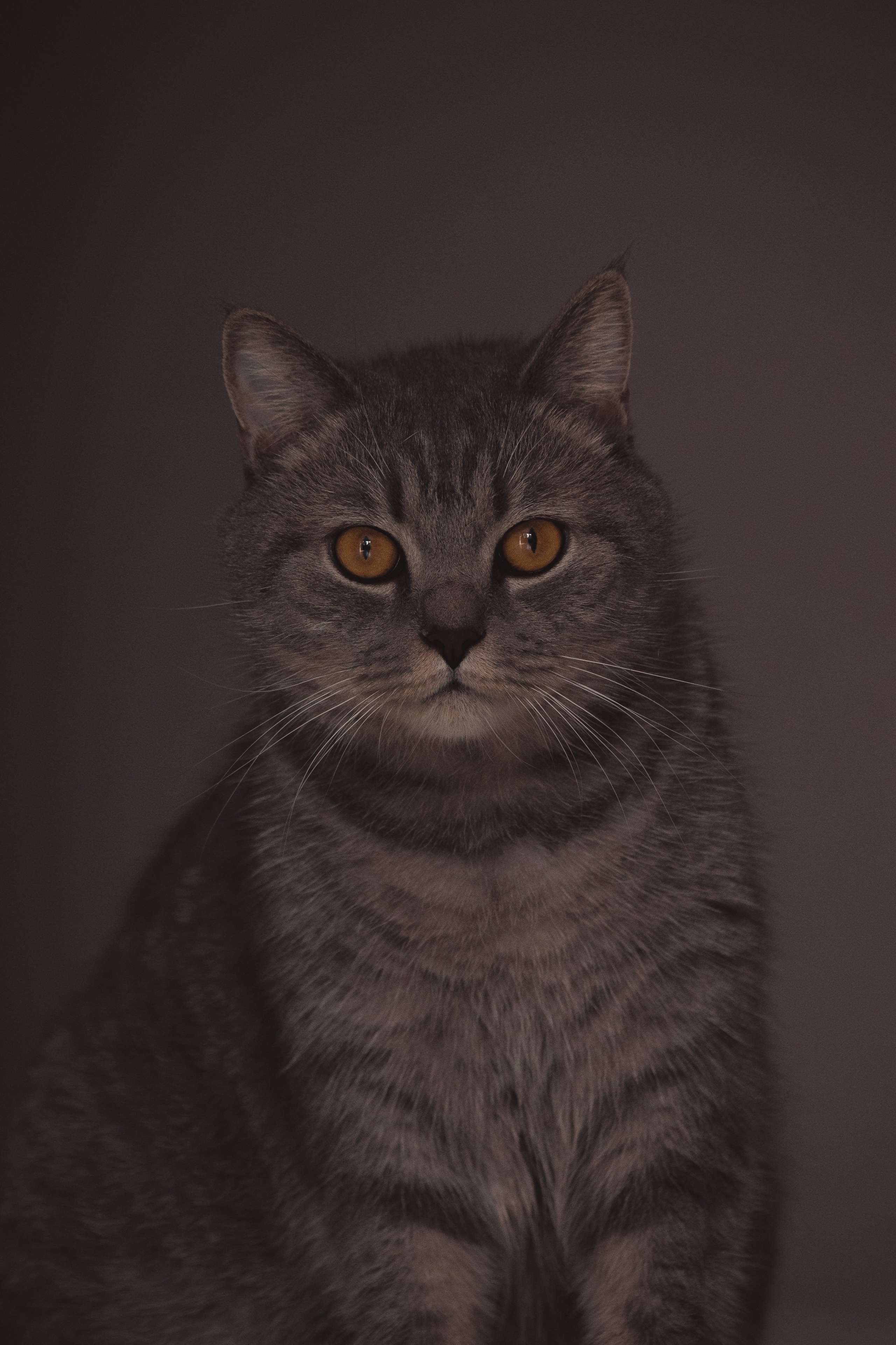 М А Р Т И Н