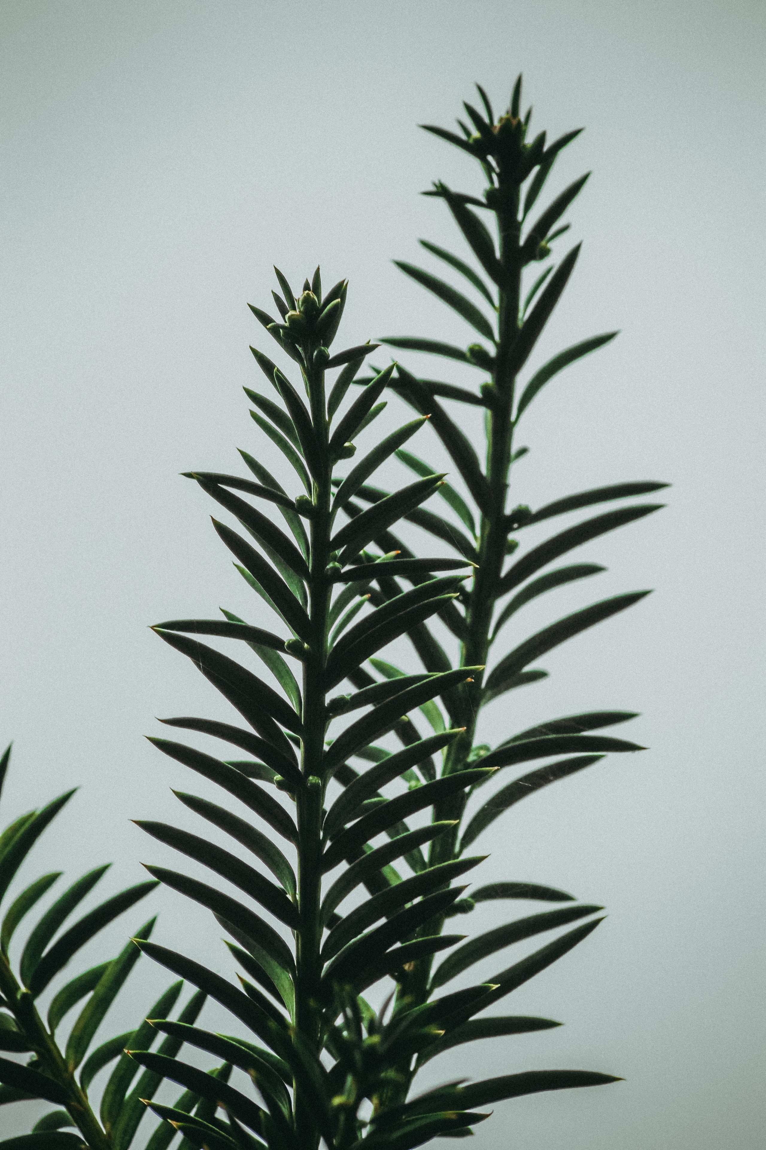 М И Н И М А Л И З М. — Digital Noise —