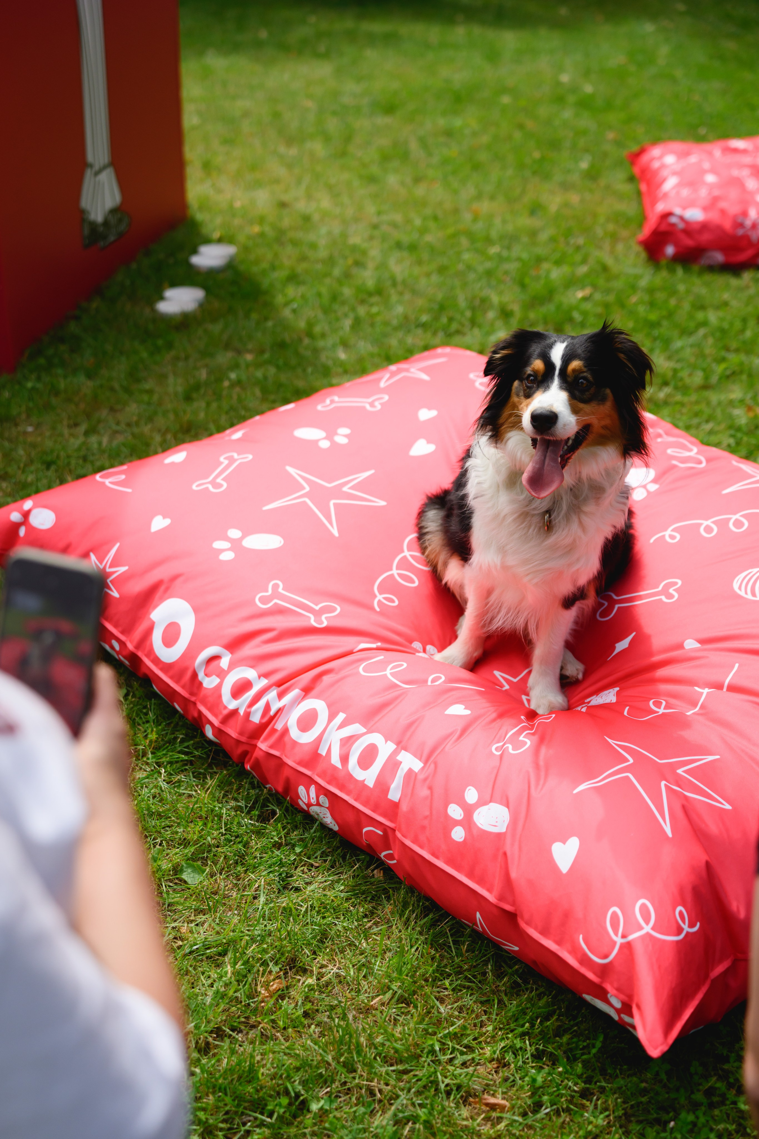 Самокат. Фотограф в Москве Даниил Титоров