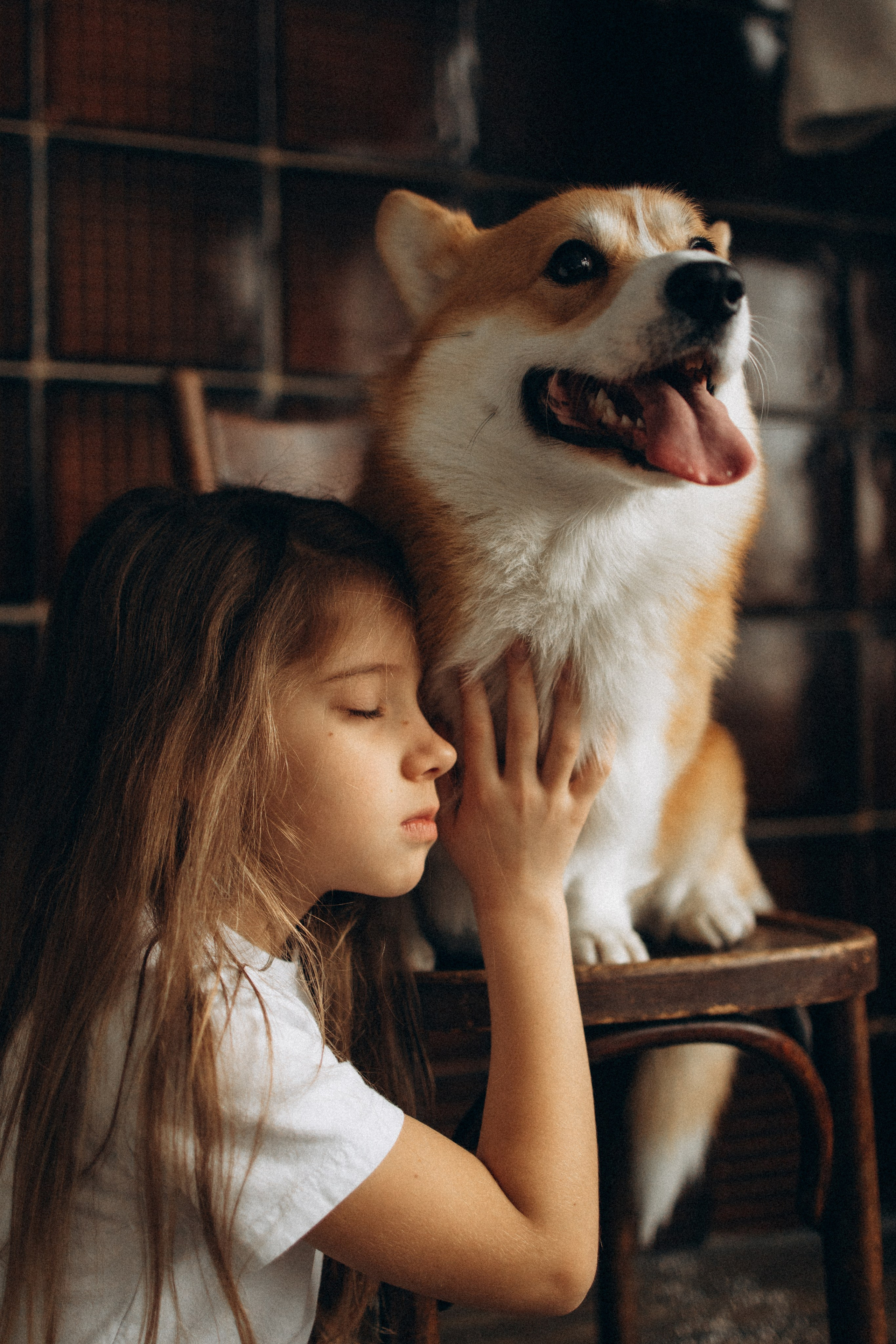 Зевс и его семья. Фотораф — анималист Мария Шистка