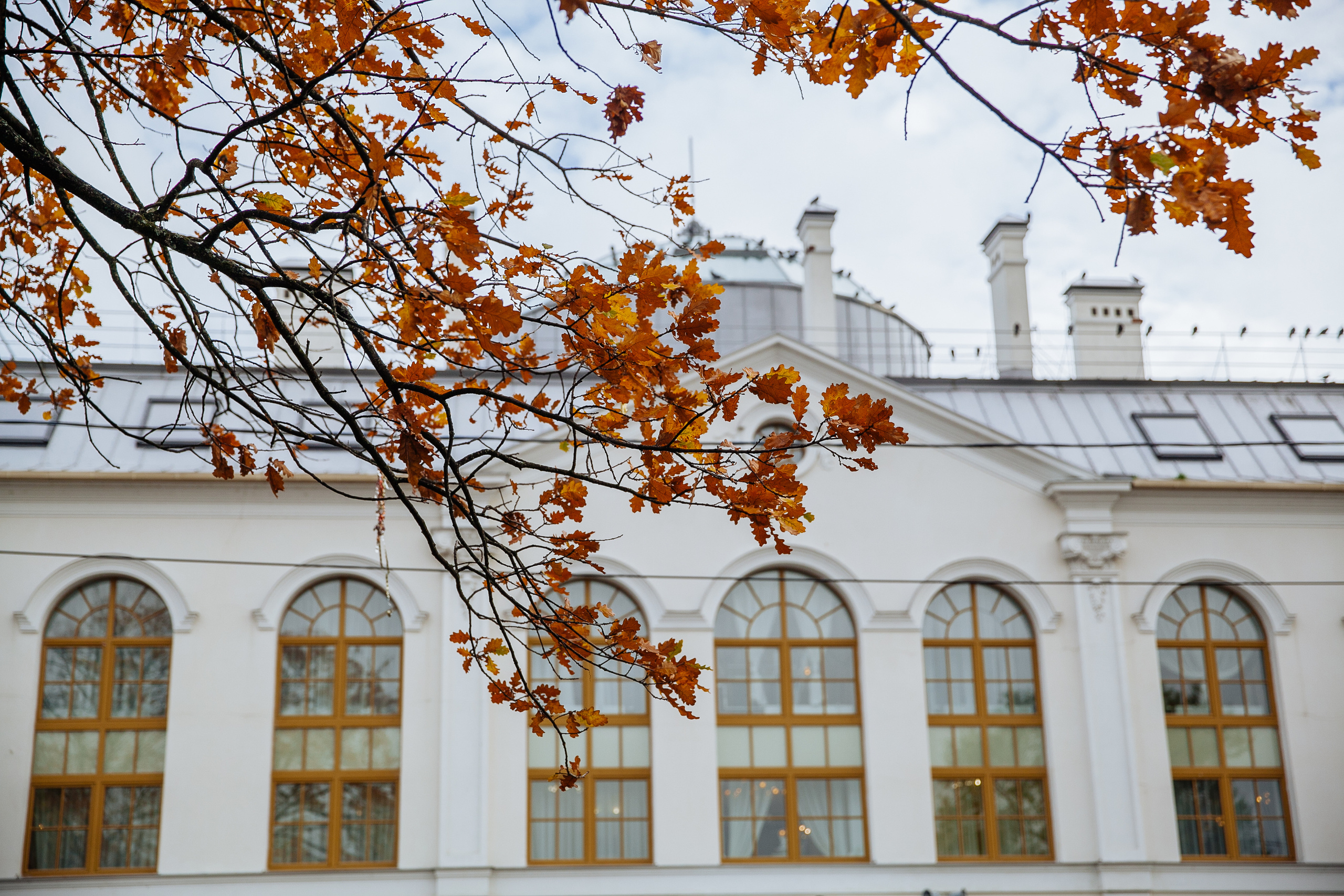 Юлия и Виталий. Свадебный фотограф в Санкт-Петербурге - Денис Шпендицкий