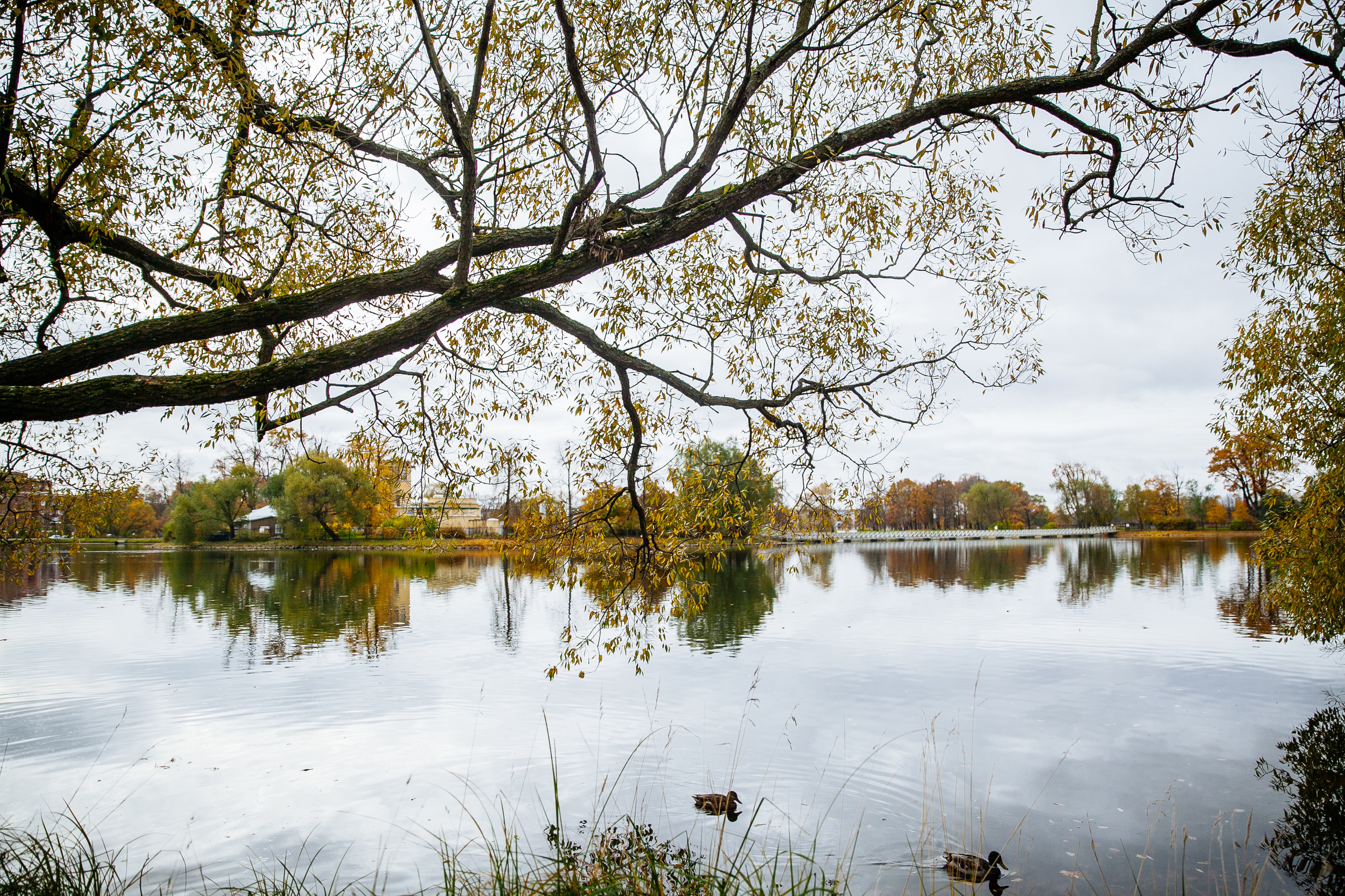 Юлия и Виталий. Свадебный фотограф в Санкт-Петербурге - Денис Шпендицкий