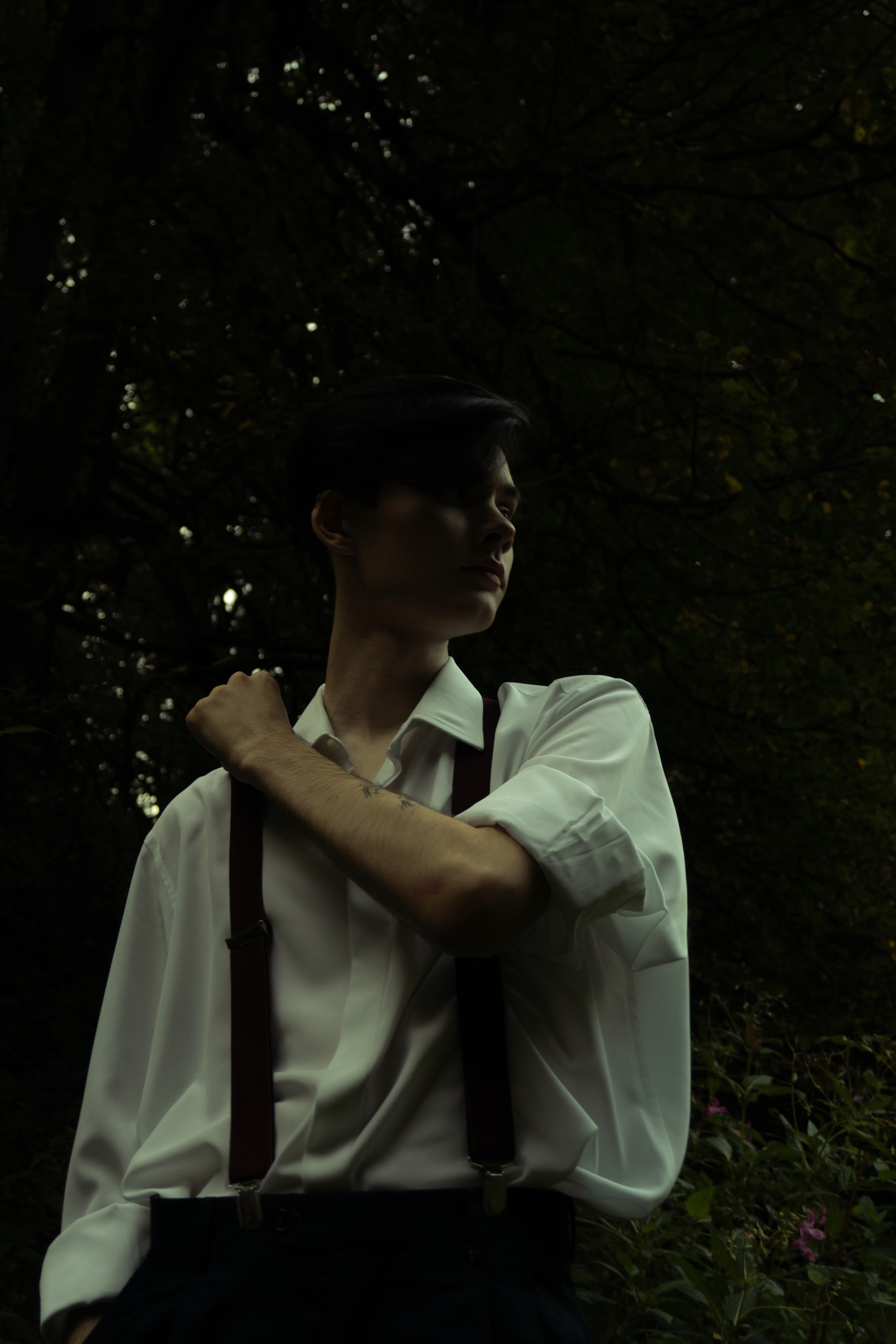 История из леса. Худси. Фотограф Эльмира Ахметова