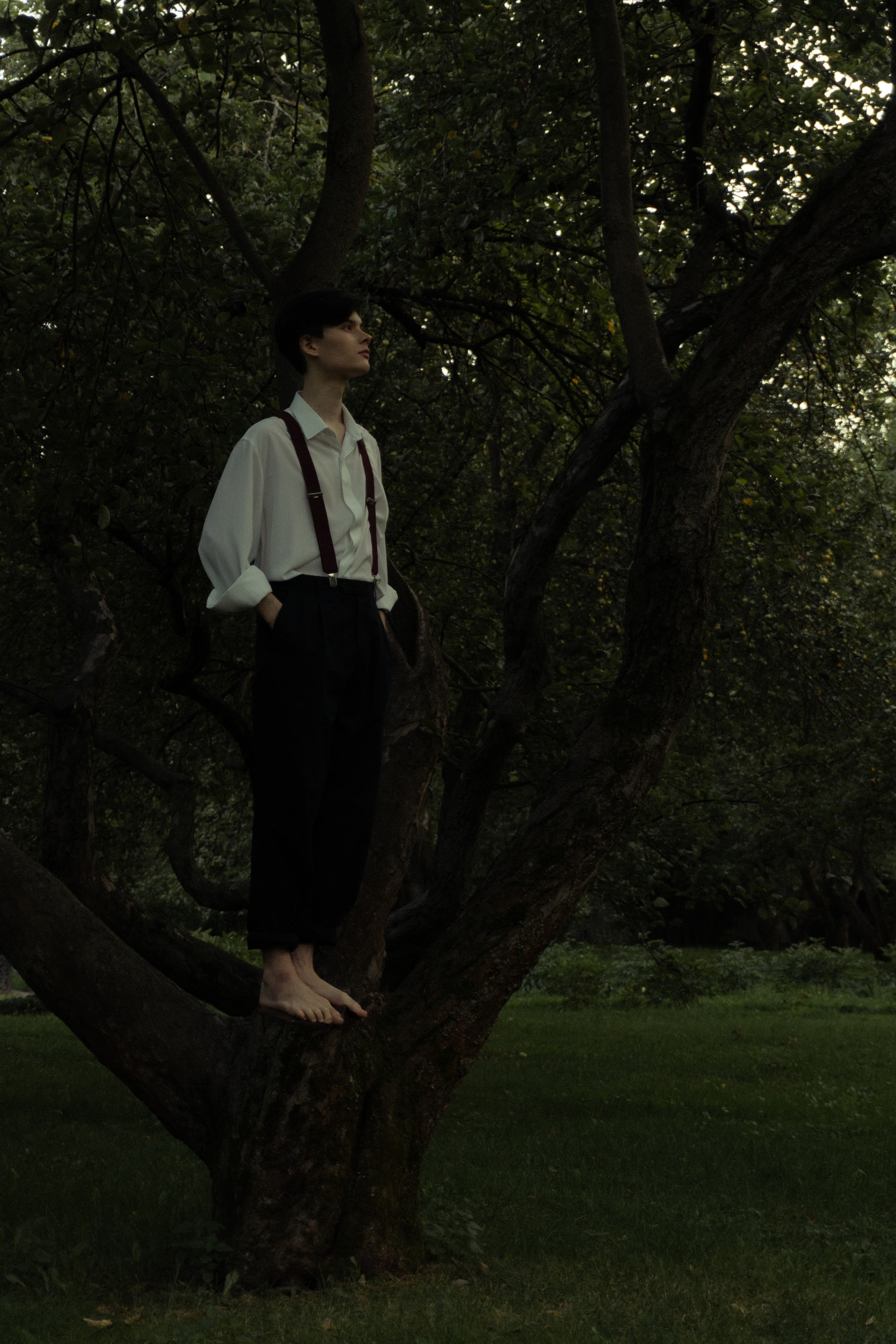 История из леса. Худси. Фотограф Эльмира Ахметова