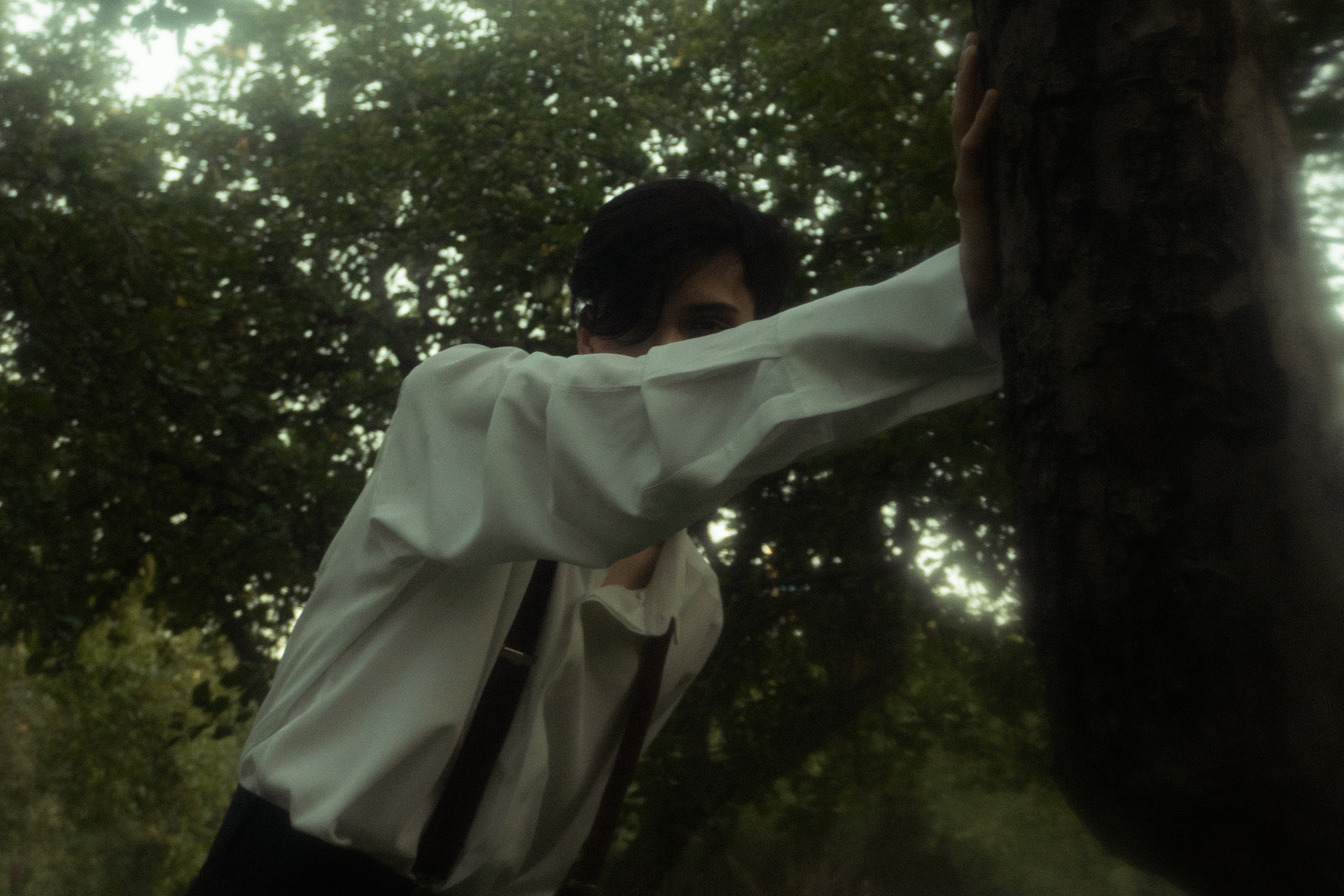 История из леса. Худси. Фотограф Эльмира Ахметова