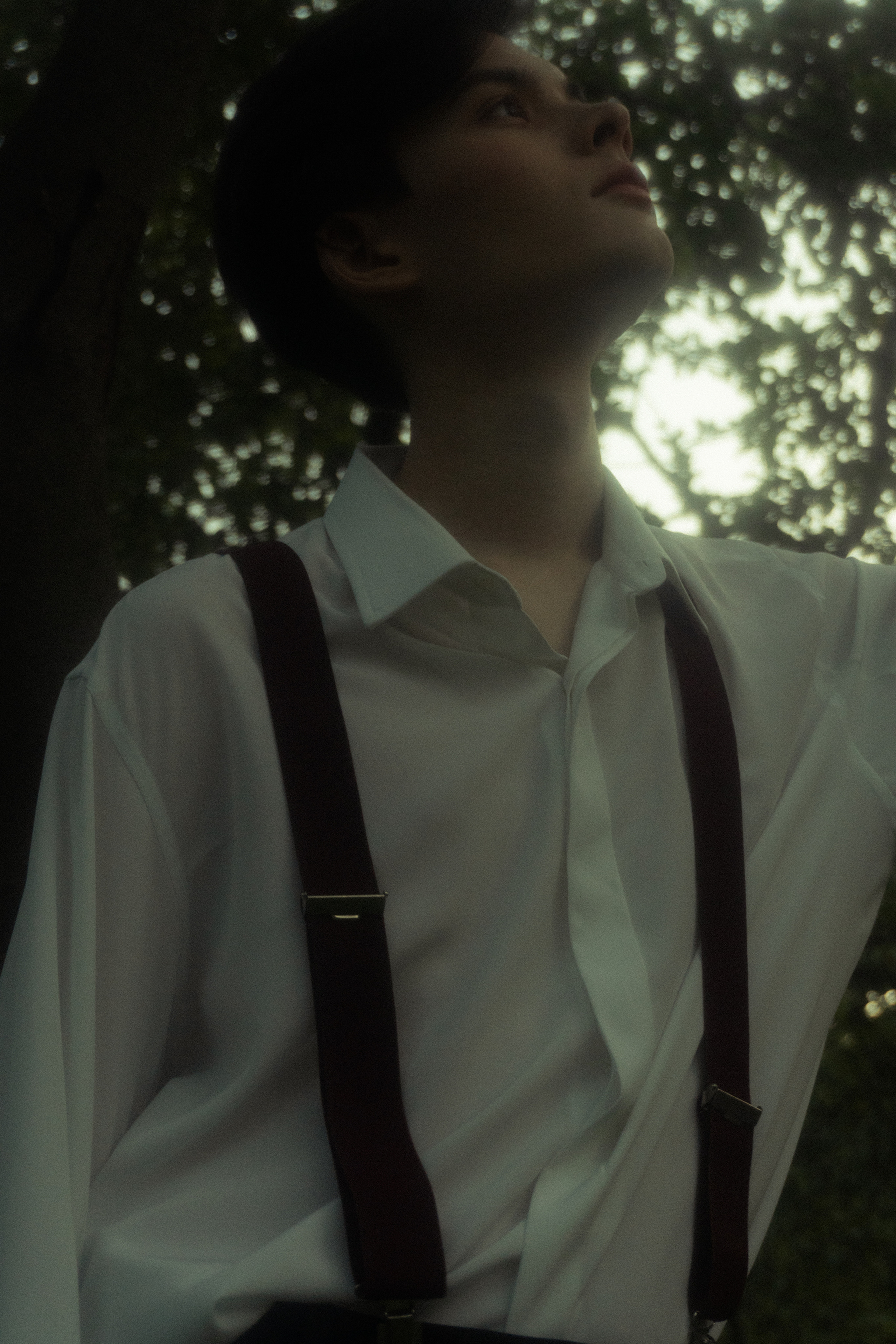 История из леса. Худси. Фотограф Эльмира Ахметова