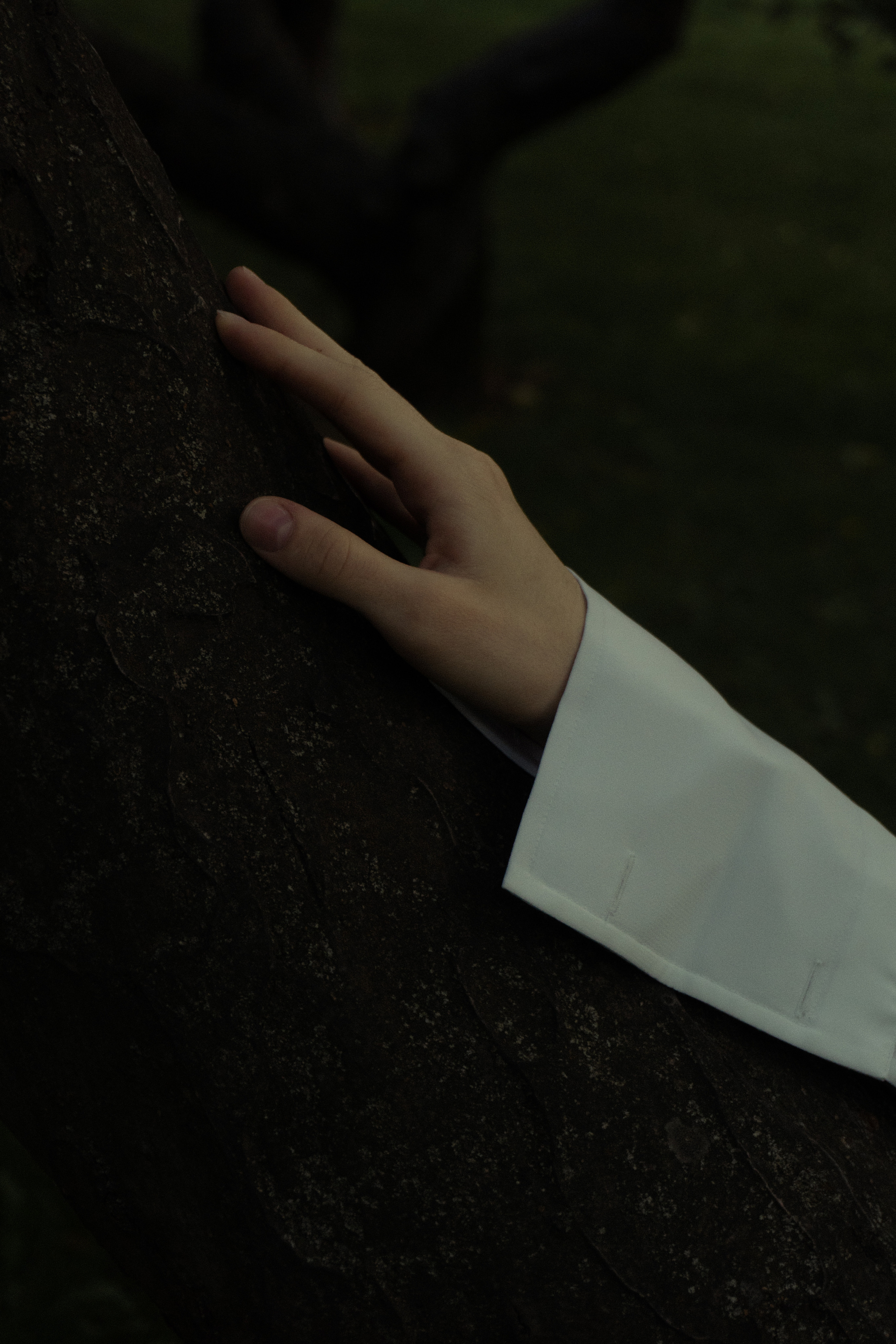 История из леса. Худси. Фотограф Эльмира Ахметова