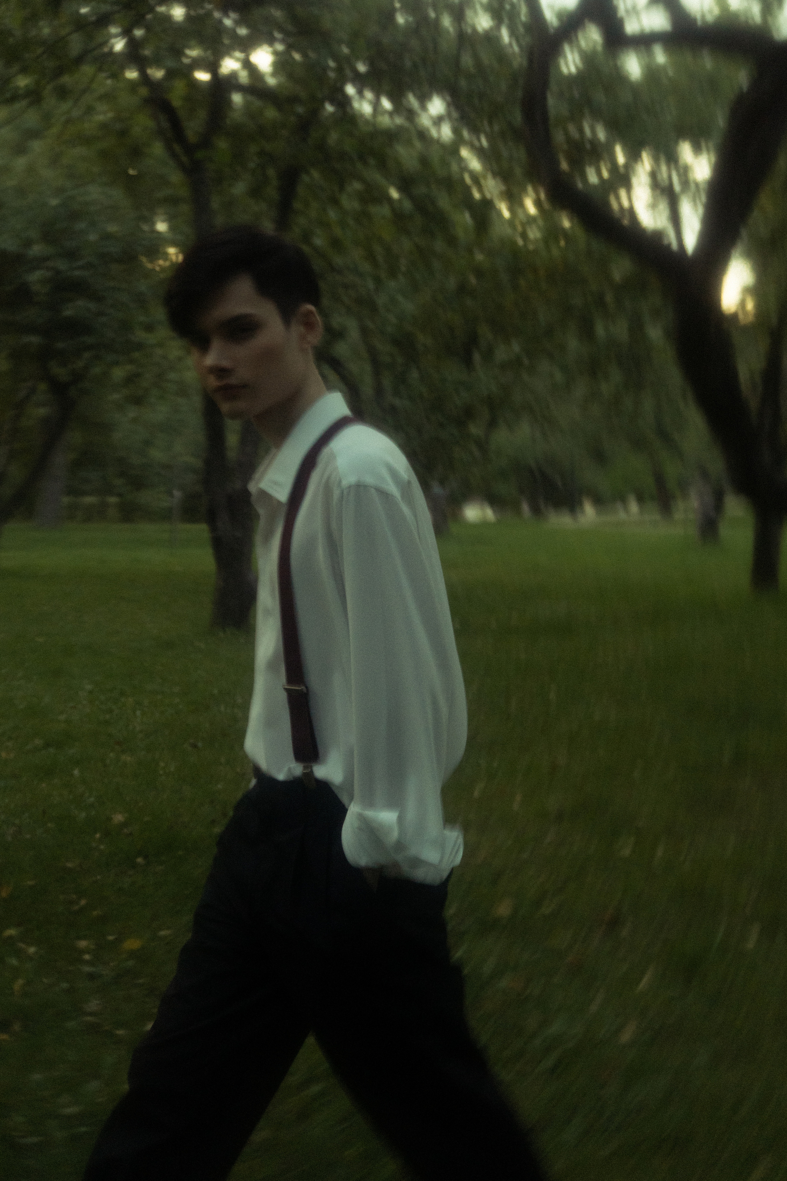 История из леса. Худси. Фотограф Эльмира Ахметова