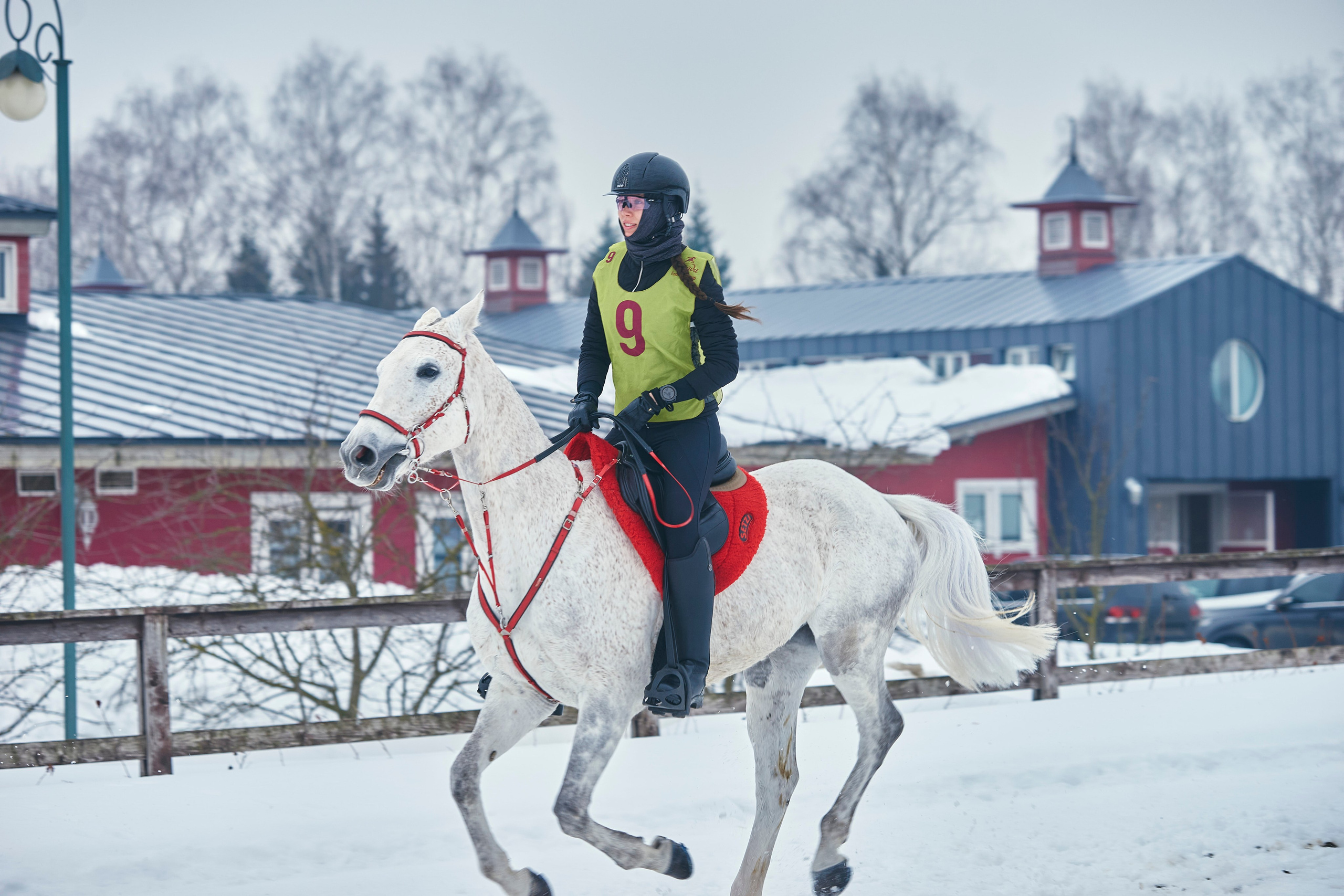 HORSE RACING. Фотограф Наталья Леонова