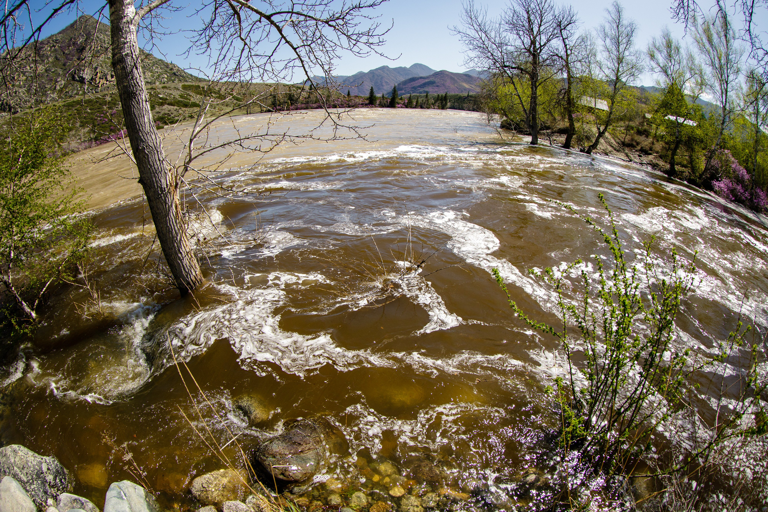 Горный Алтай. Фотограф Кирилл Мешков Кемерово