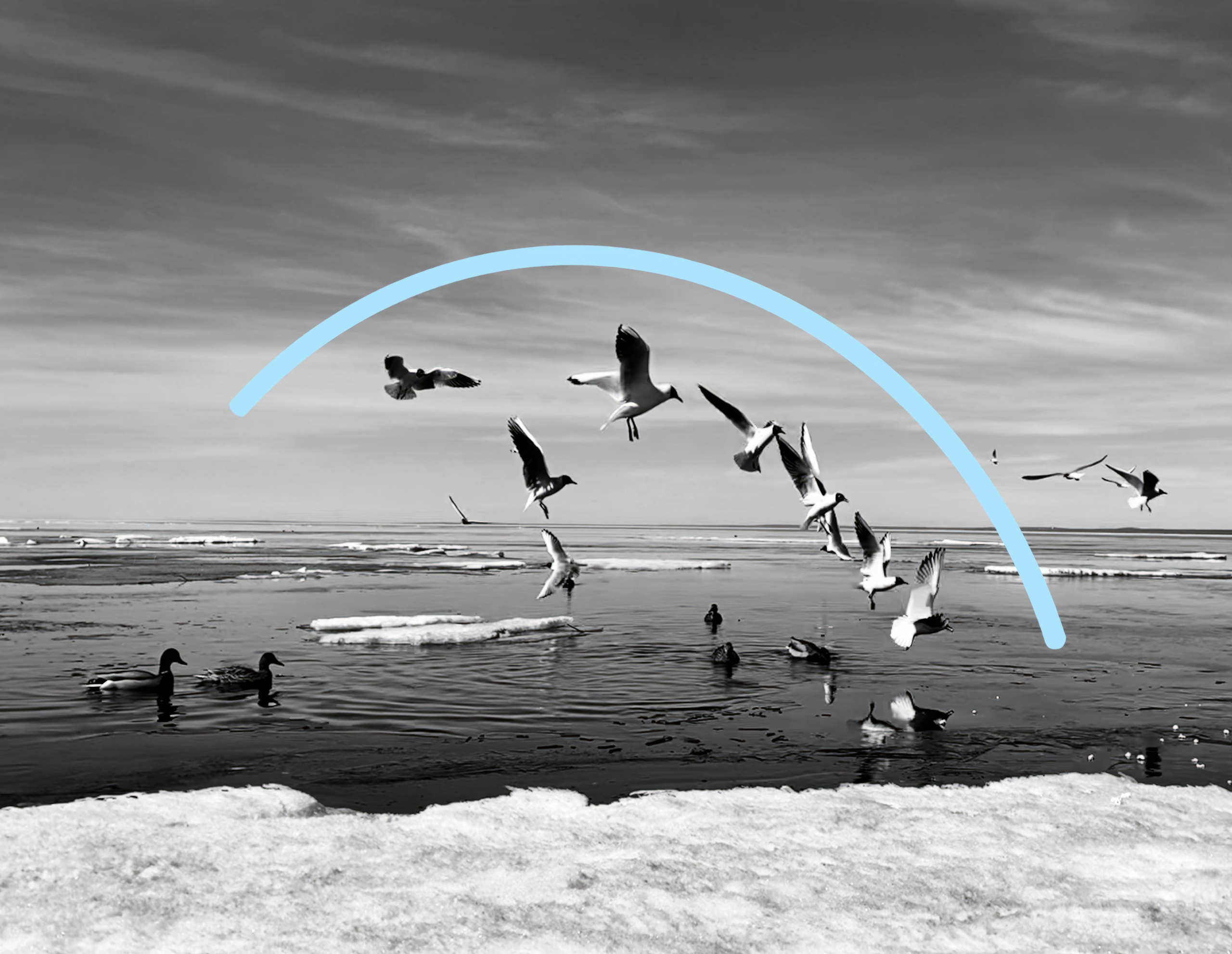 Испорченные фотографии — авторская серия Ма. Ма