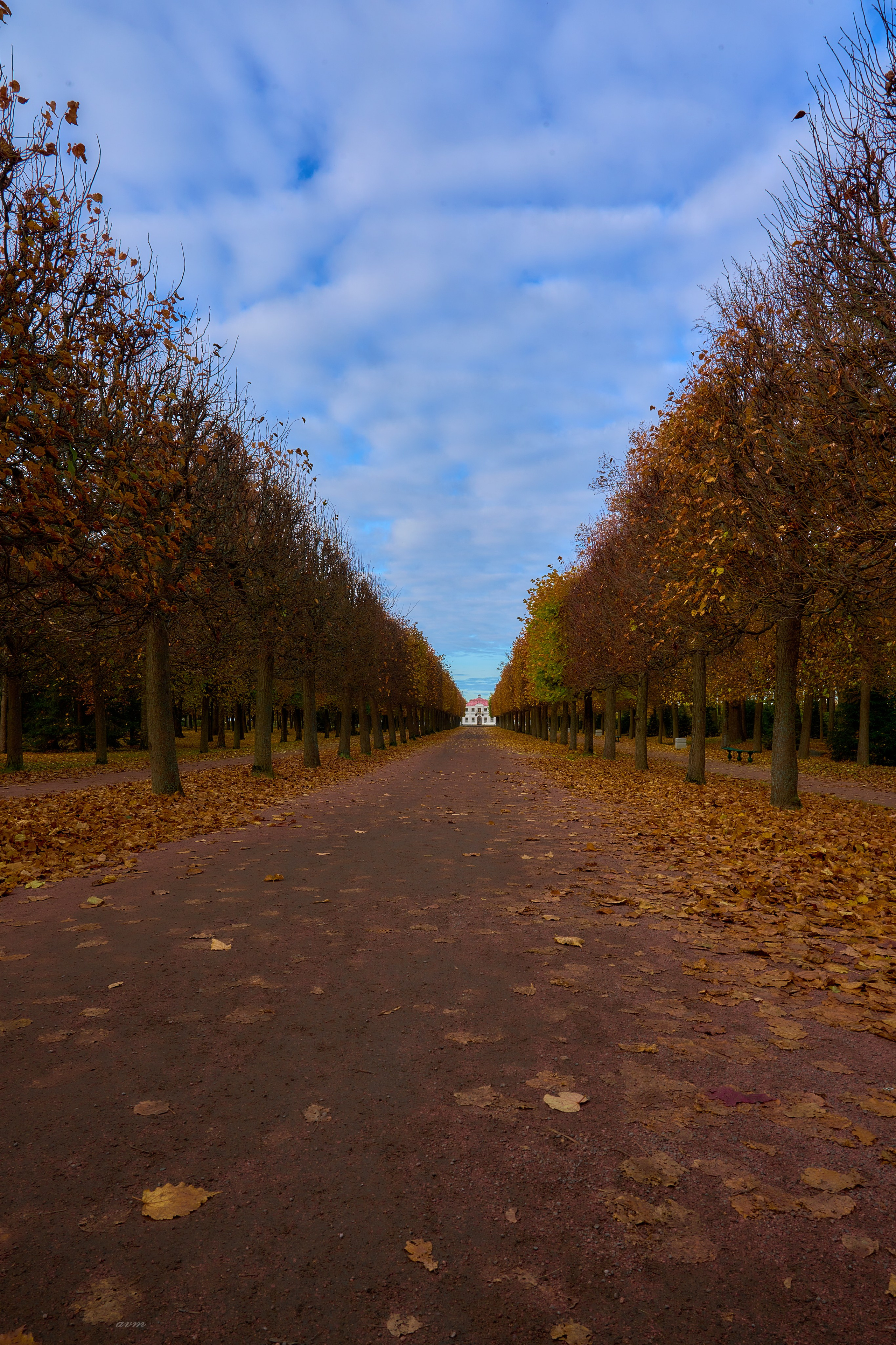 Петергоф. Фотограф Михеев Андрей