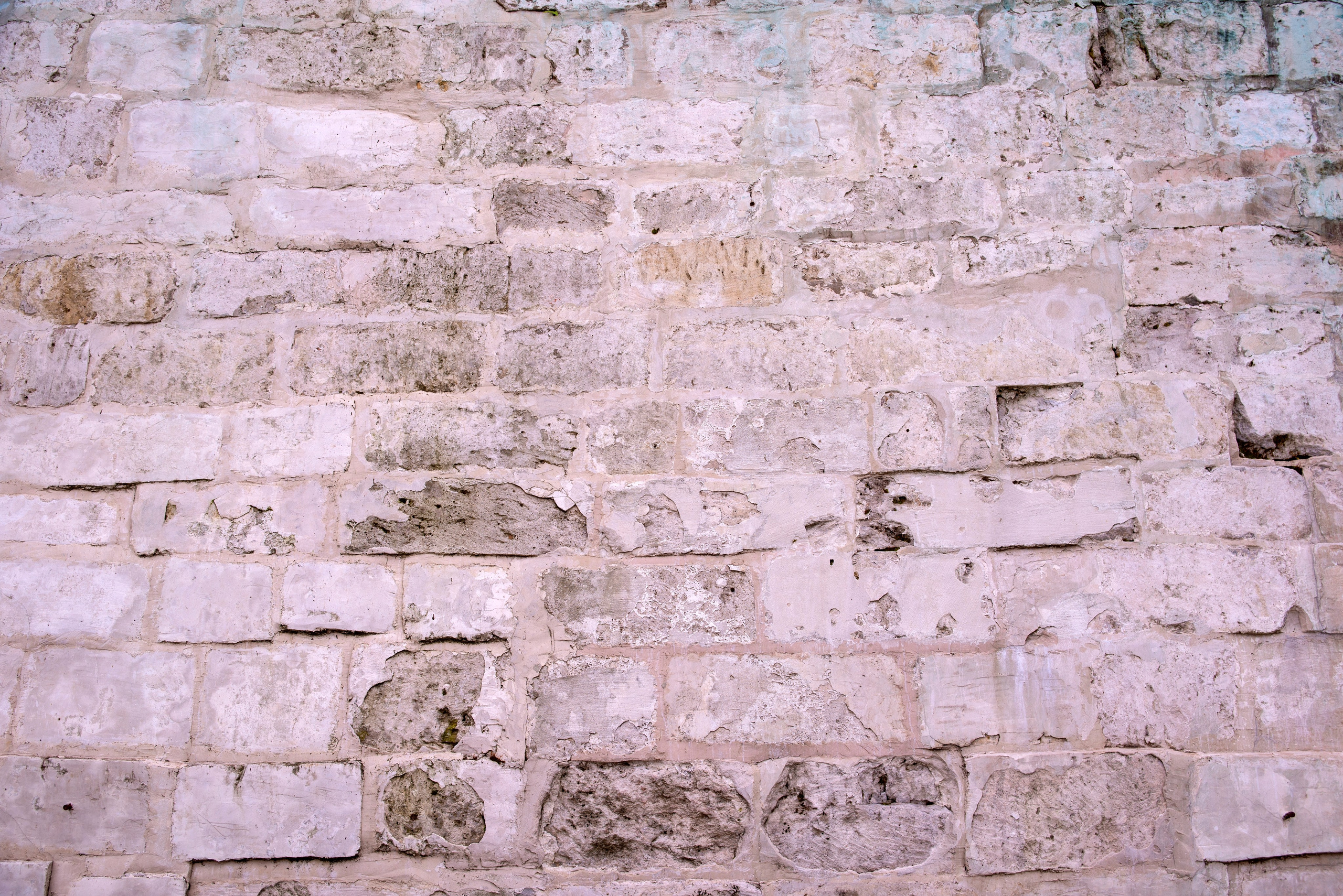 Старица. 25 сентября 2025 (Nikon). Игорь Жучков. Россия увиденная глазами путешествующего фотографа