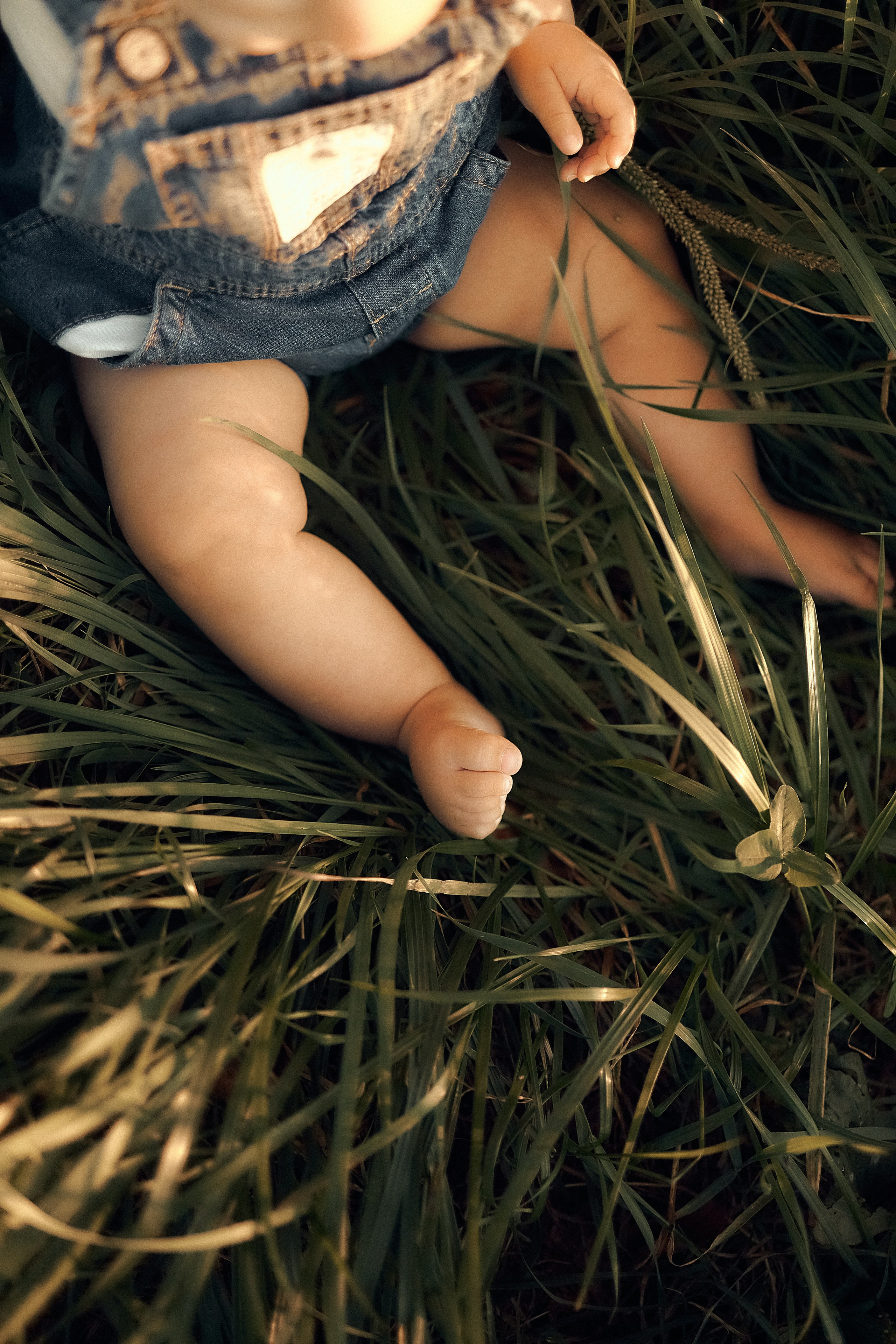 Услуги. Edomaphoto.ru