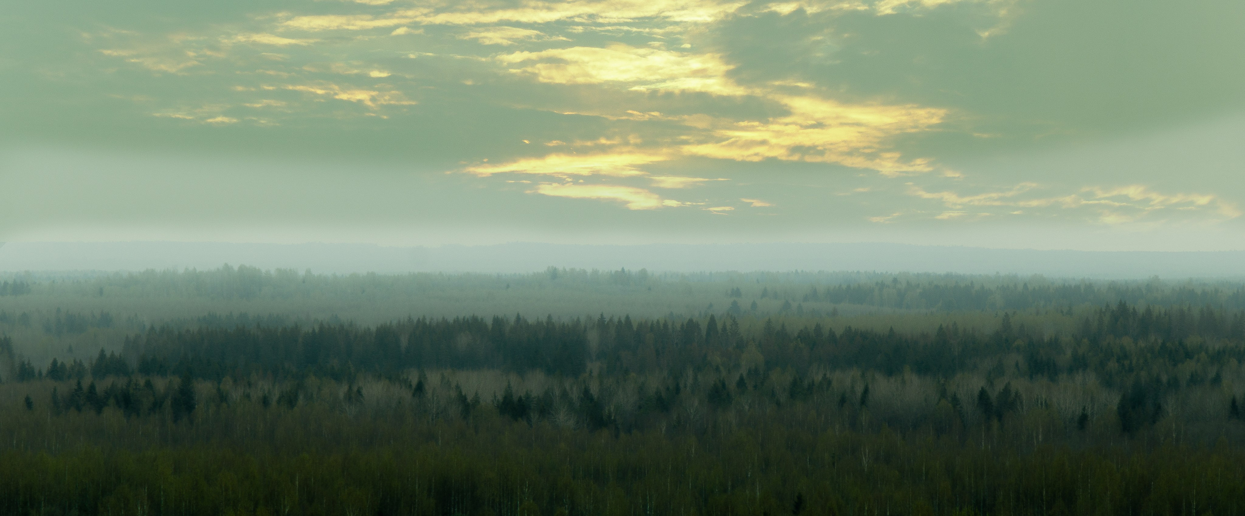 Попкова Виктория, фотограф, пейзаж, ночь, vphoto, звезды, небо, космос, фотокартины, природа, фотография, искустсство