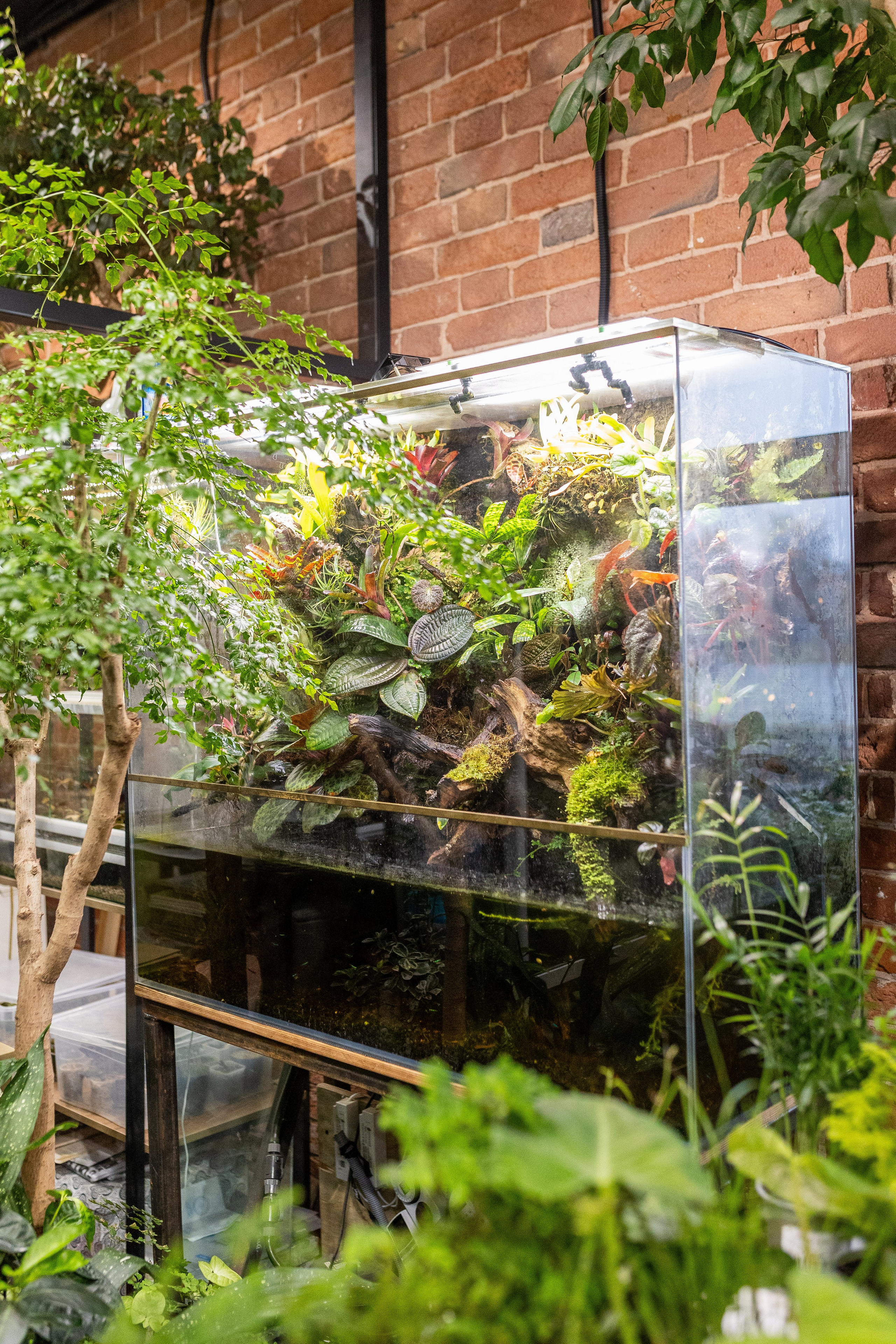 GreenRare ярмарка 2024. Александра Куликова фотограф, Москва