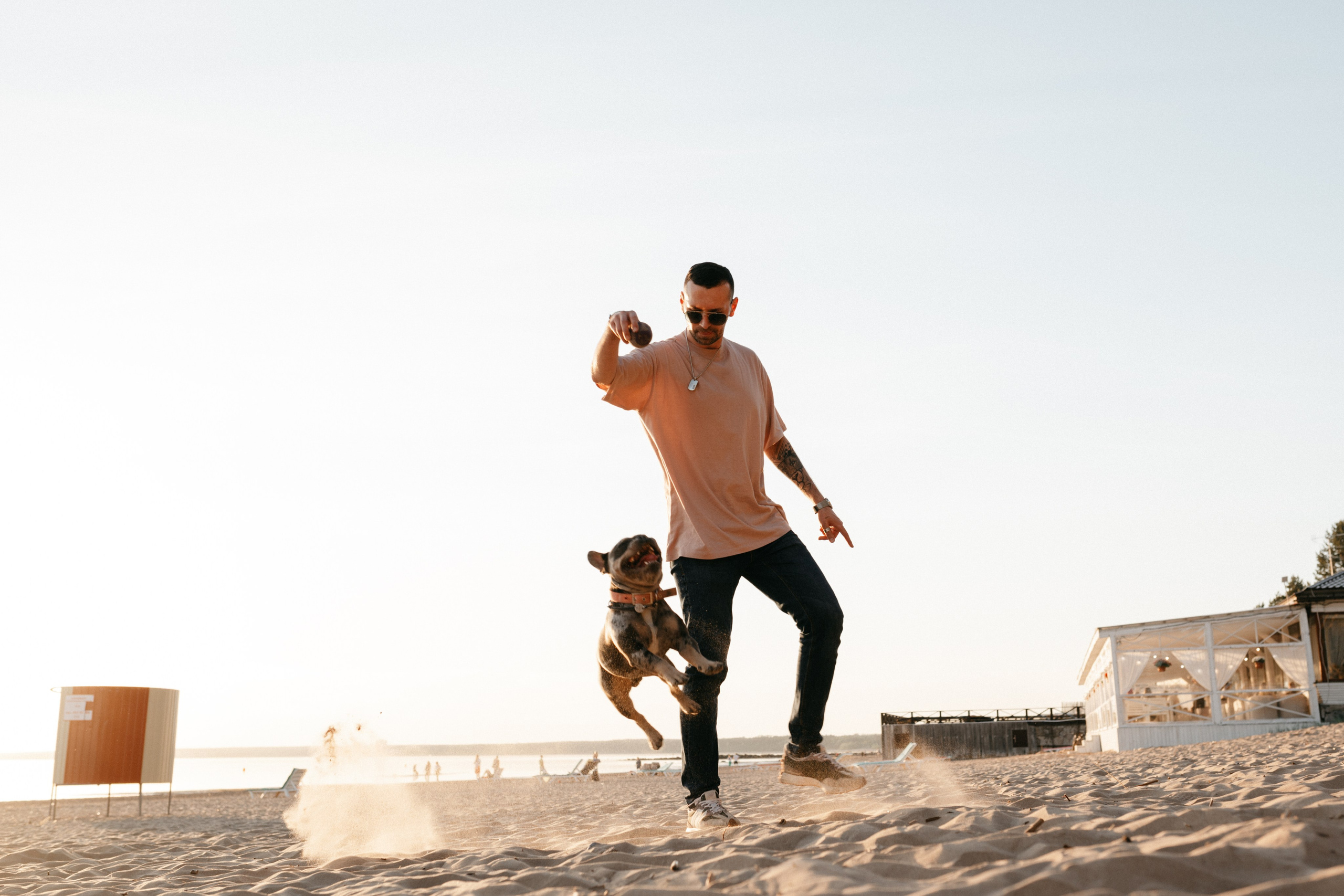 Коля и Бакс. Фотограф анималист в Москве Ольга Агушева