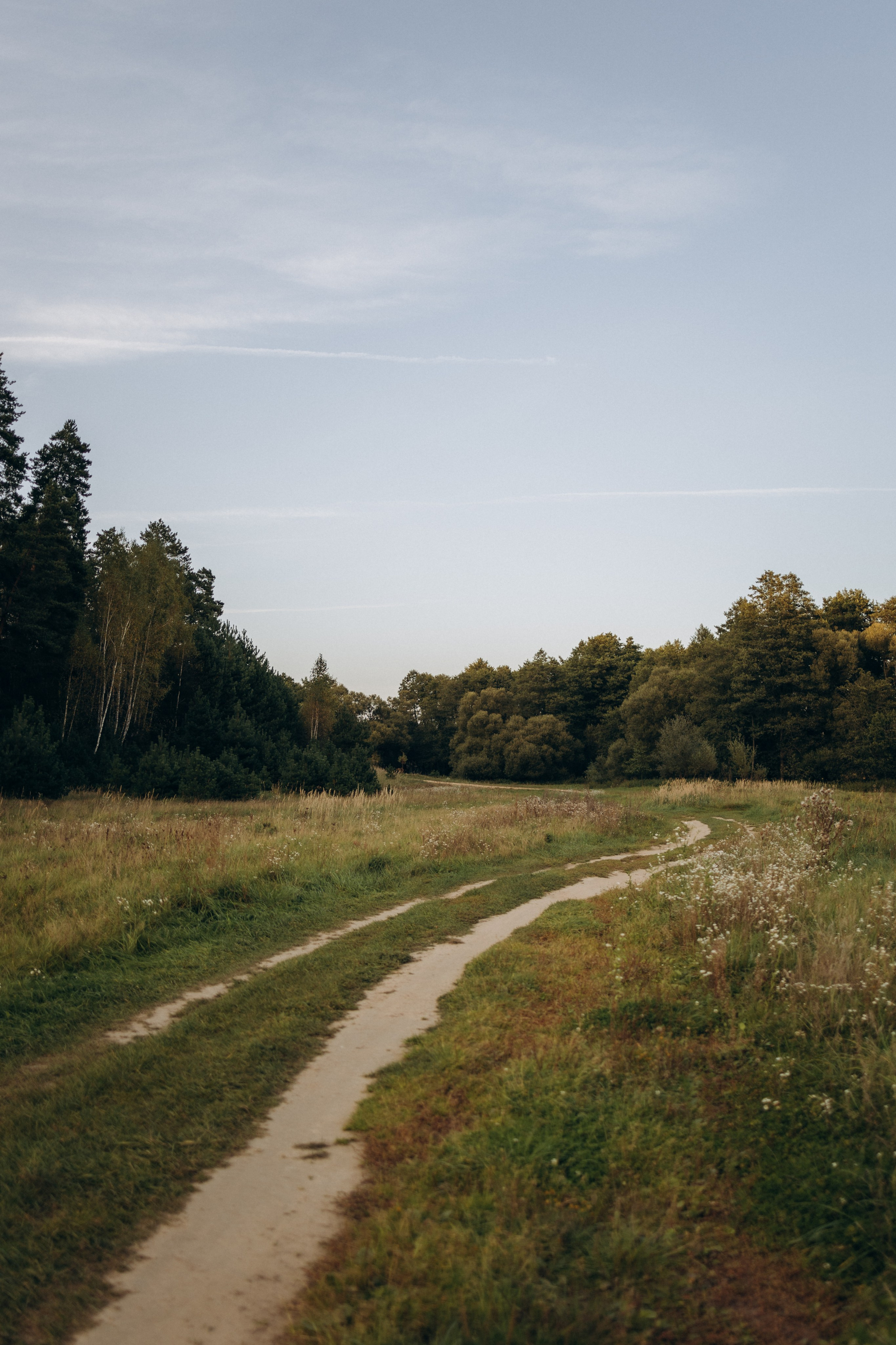 Семейная фотосессия (15.09.2025 г.) г. Жуков (Калужская обл.). Надежда Стар семейный и церковный фотограф в Жукове и Калужской области