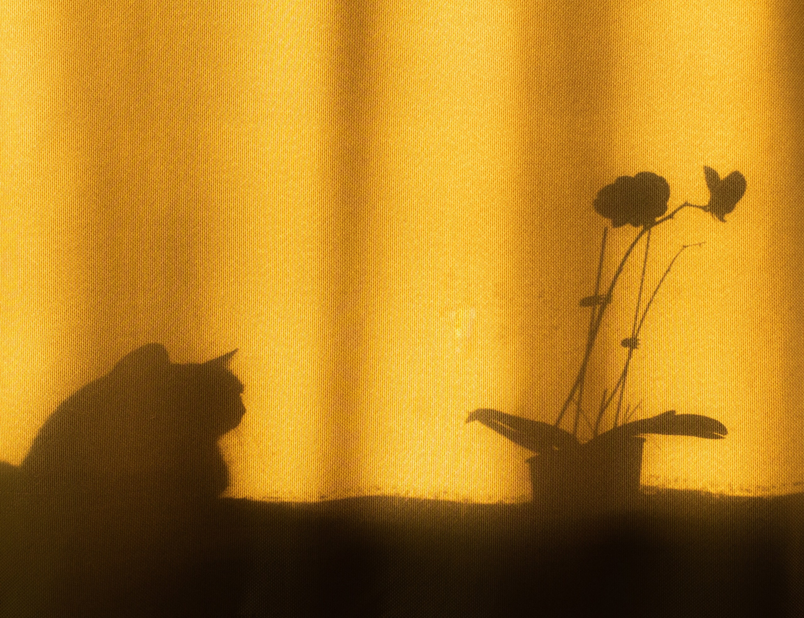 Курс «БОЛЬШОЙ И ГРОМКИЙ!». Университет по фотографии Игоря Мальцева