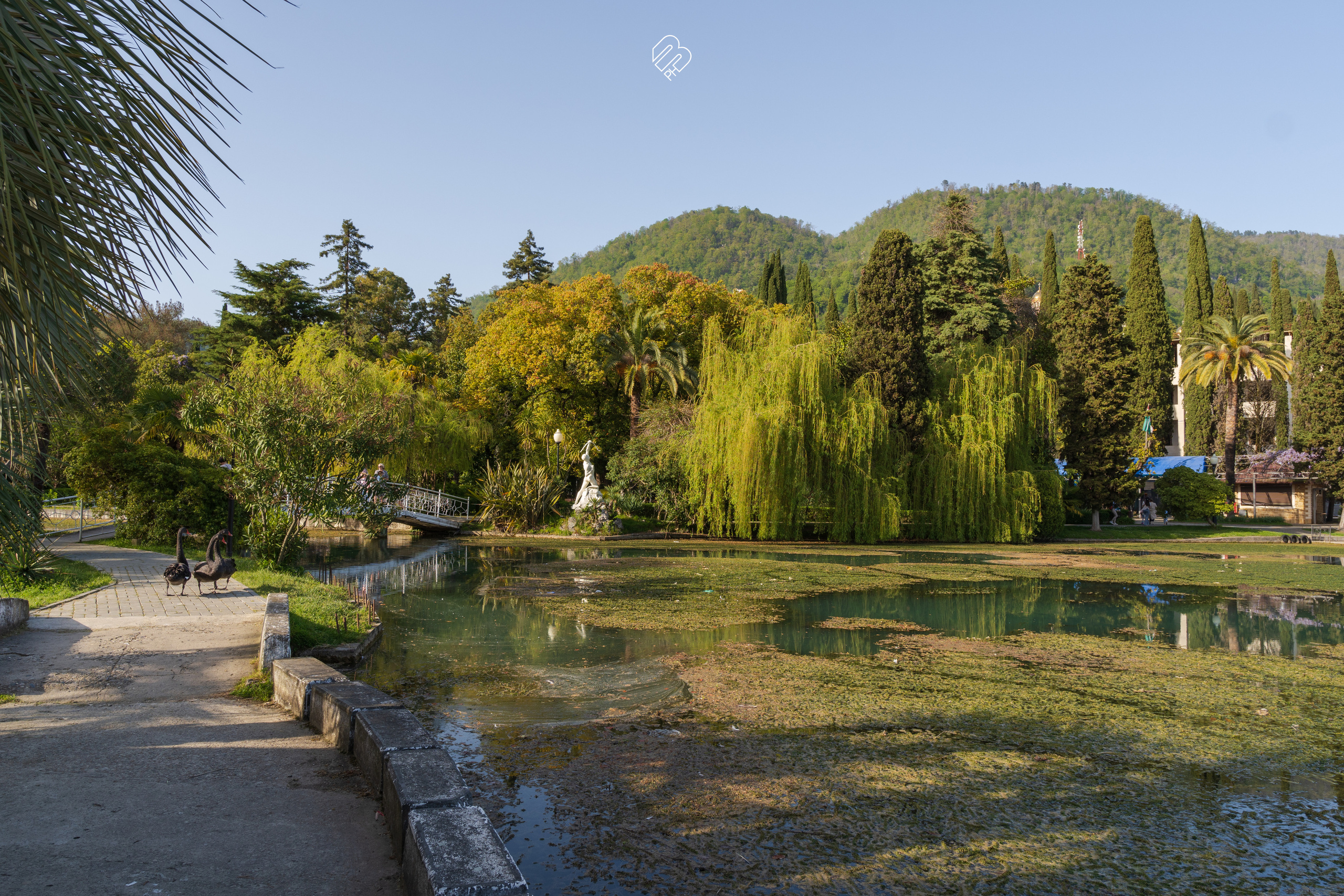 Абхазия 2022. Фотограф людей и животных в Санкт-Петербурге Марина Бурмистрова