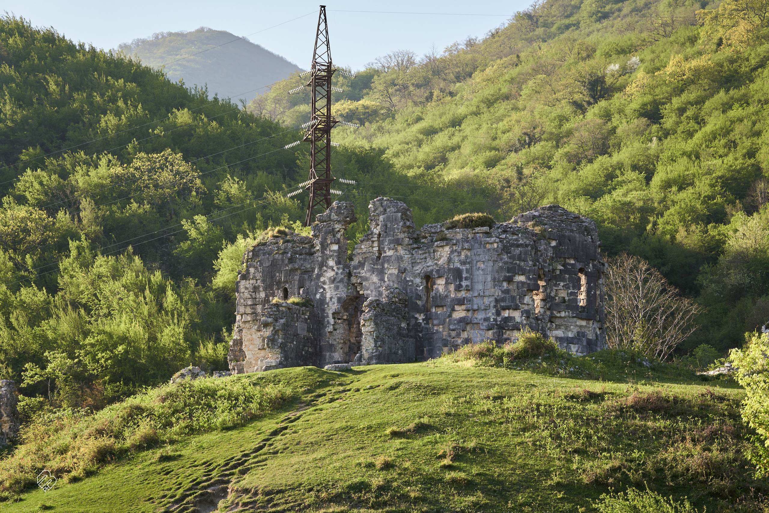Абхазия 2022. Фотограф людей и животных в Санкт-Петербурге Марина Бурмистрова