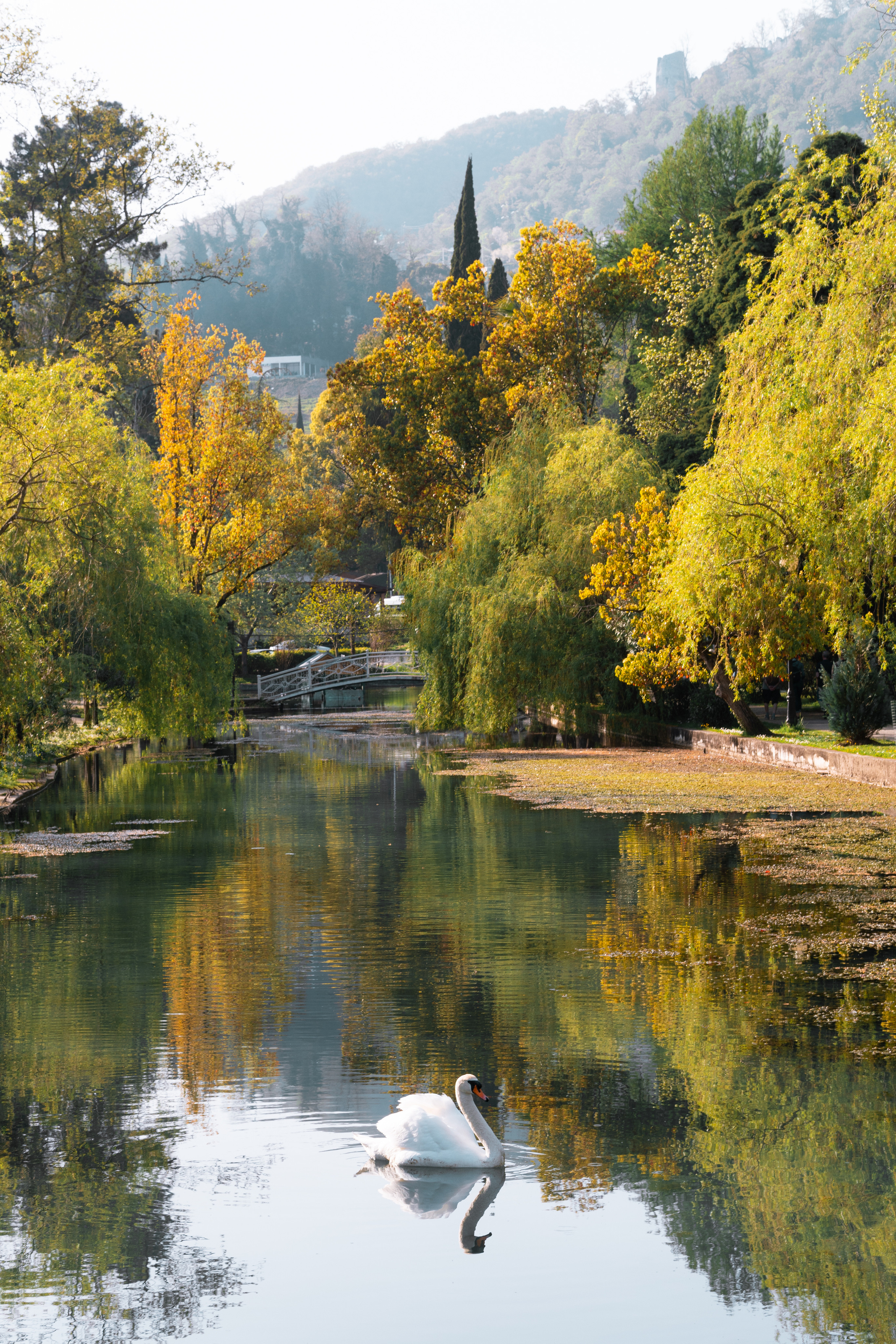 Абхазия 2022. Фотограф людей и животных в Санкт-Петербурге Марина Бурмистрова