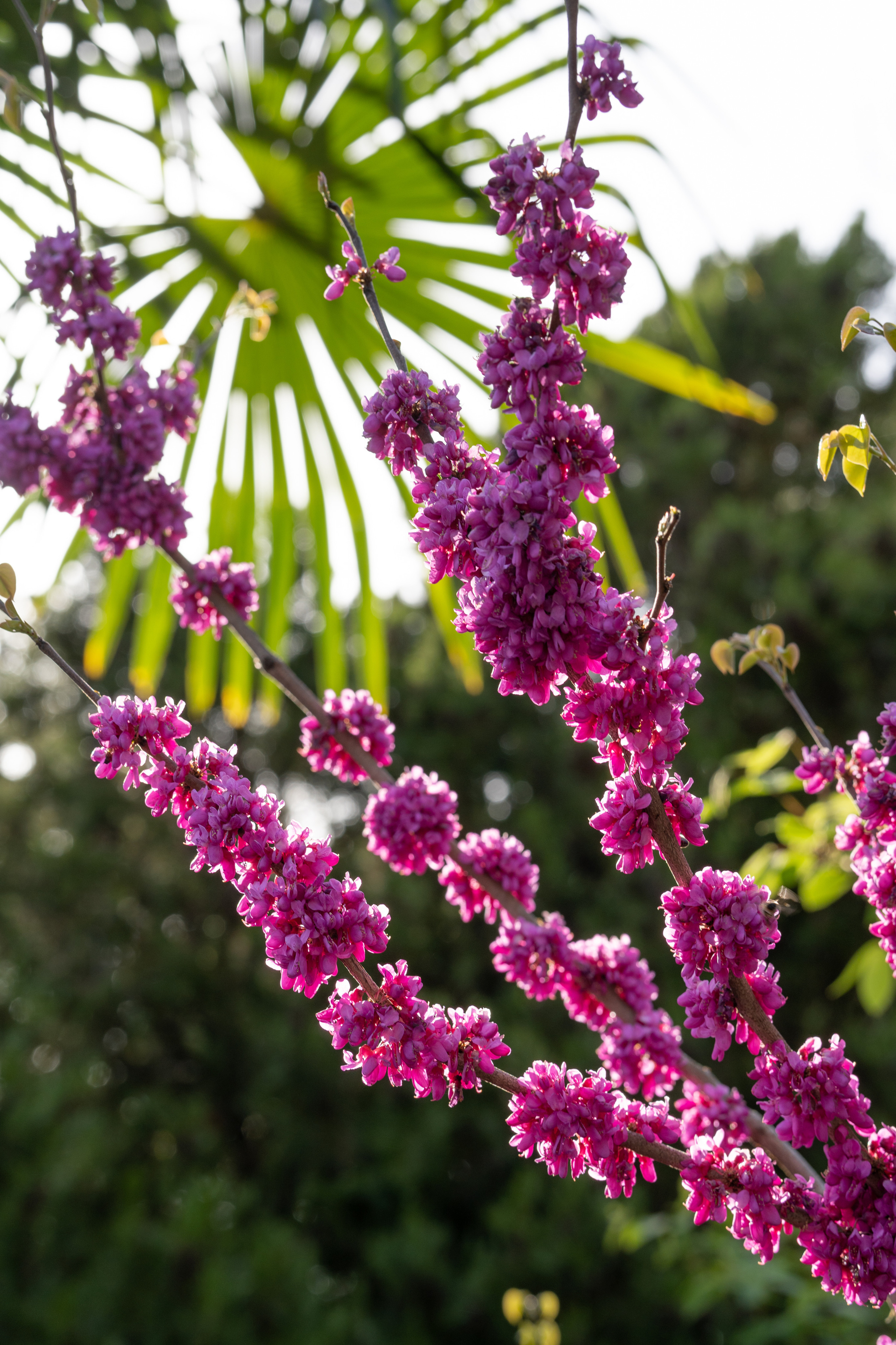 Абхазия 2022. Фотограф людей и животных в Санкт-Петербурге Марина Бурмистрова
