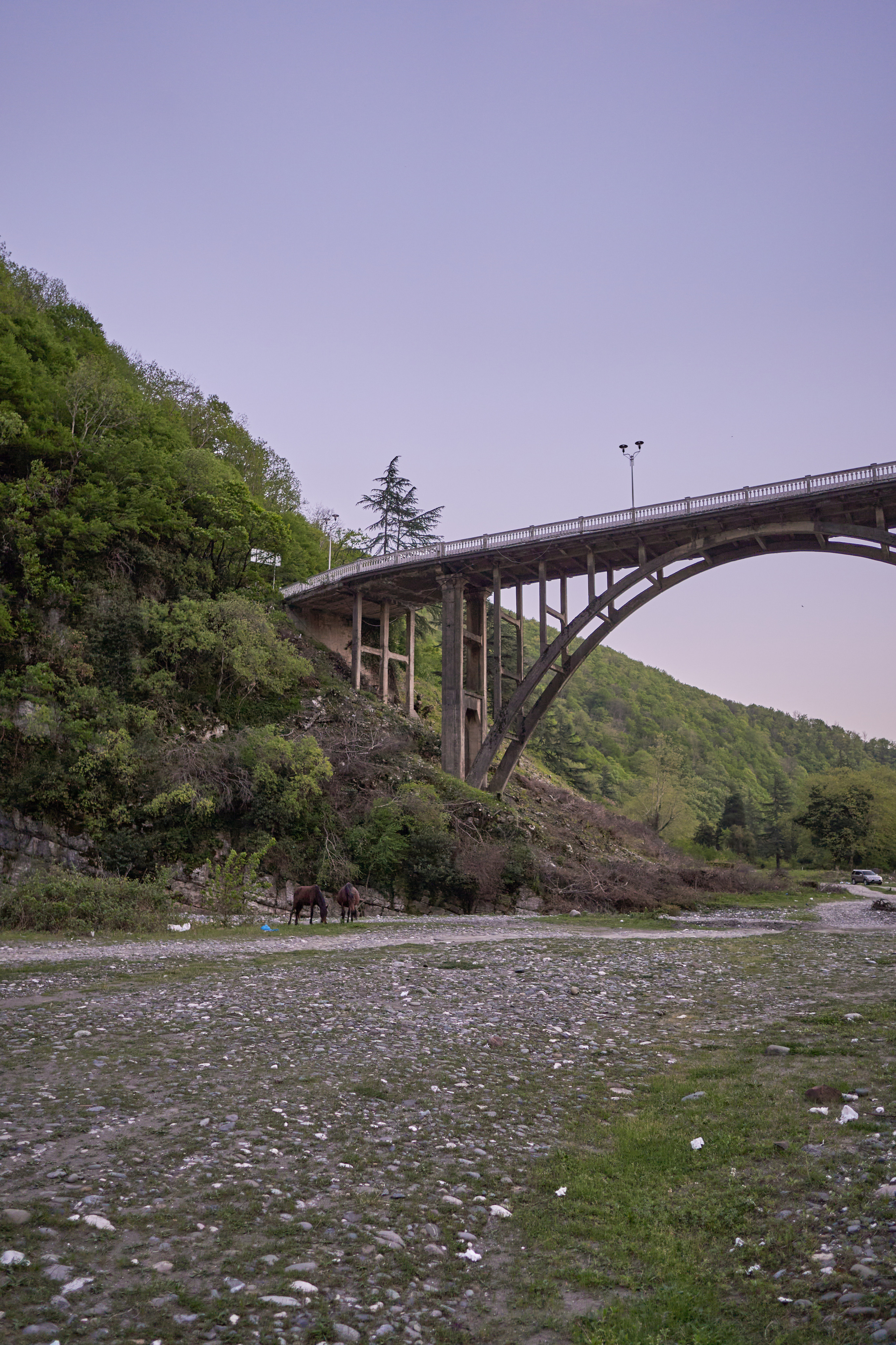 Абхазия 2022. Фотограф людей и животных в Санкт-Петербурге Марина Бурмистрова