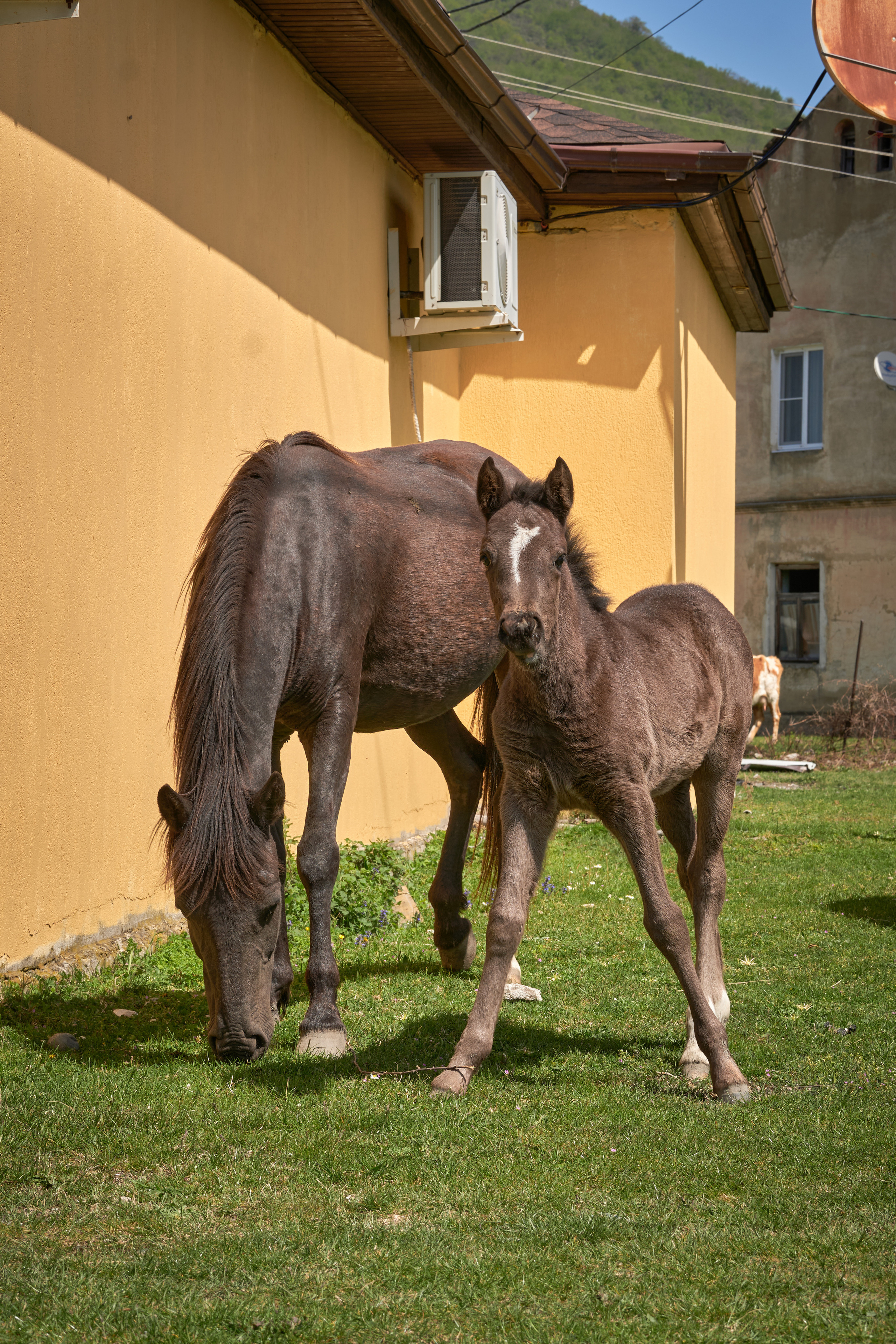 Абхазия 2022. Фотограф людей и животных в Санкт-Петербурге Марина Бурмистрова