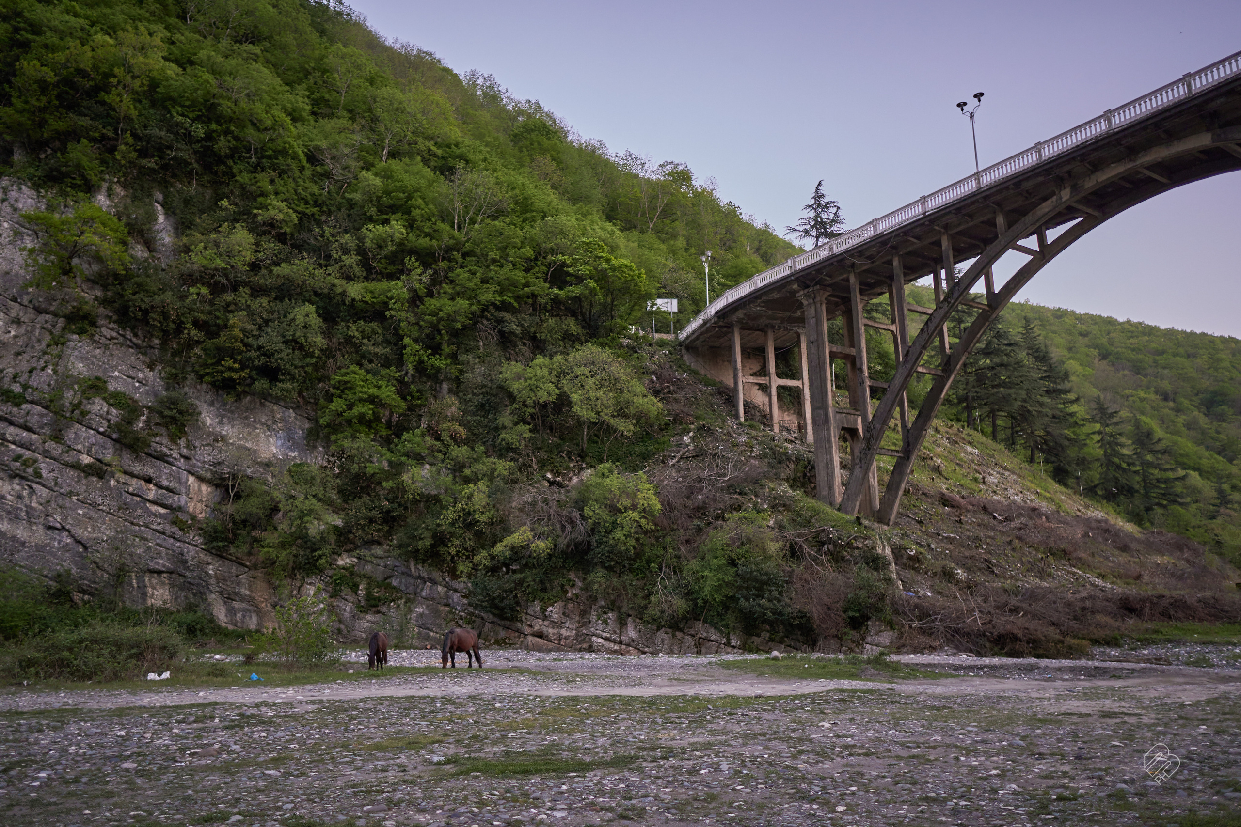 Абхазия 2022. Фотограф людей и животных в Санкт-Петербурге Марина Бурмистрова