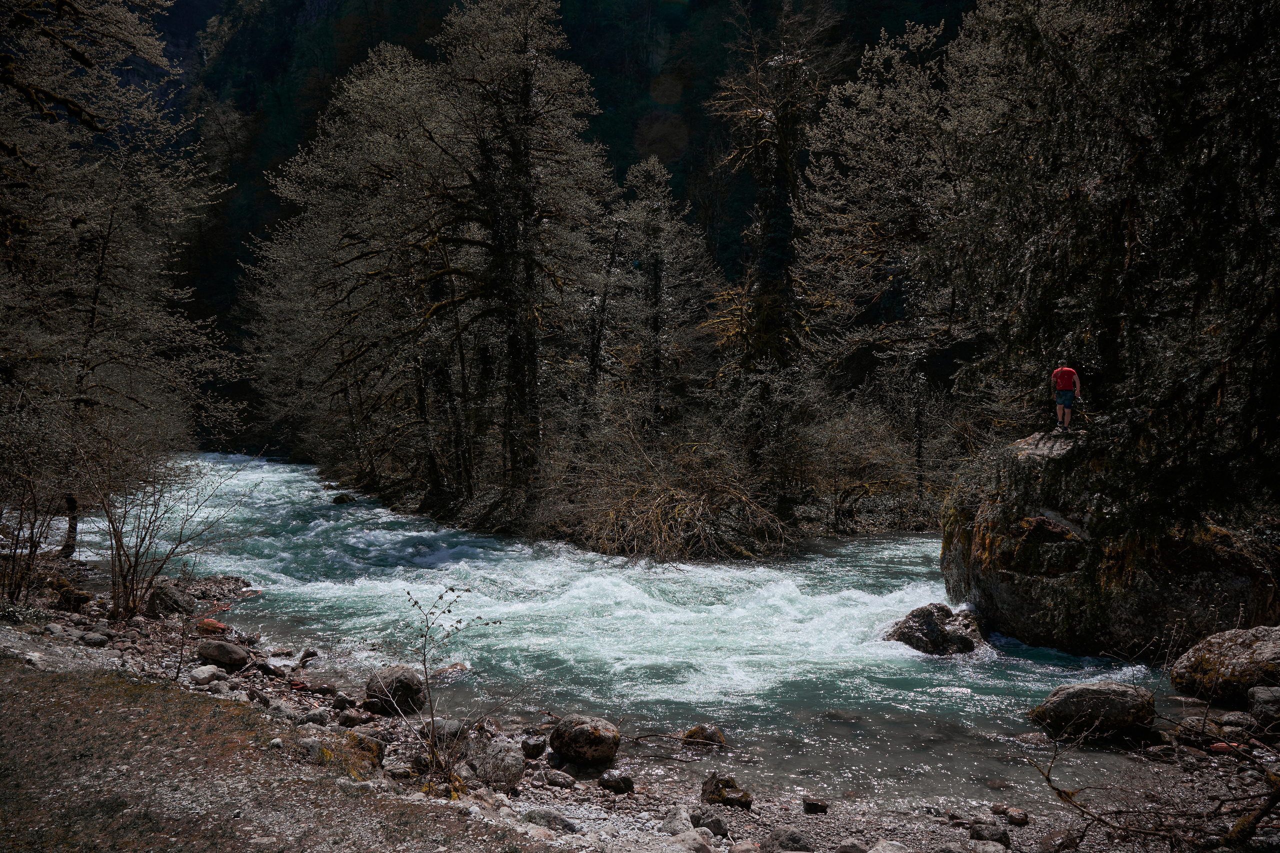 Абхазия 2022. Фотограф людей и животных в Санкт-Петербурге Марина Бурмистрова
