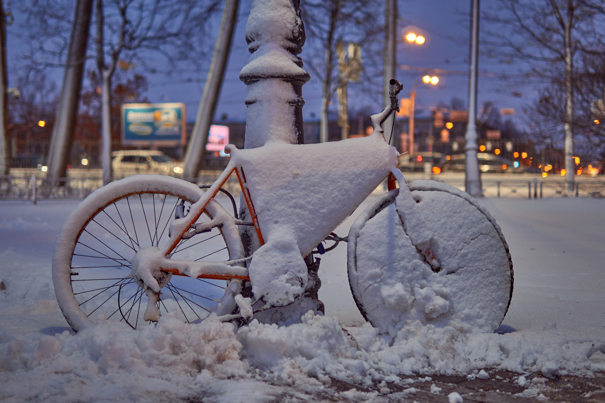 Художественный репортаж шторма в СПб. Фотограф людей и животных в Санкт-Петербурге Марина Бурмистрова