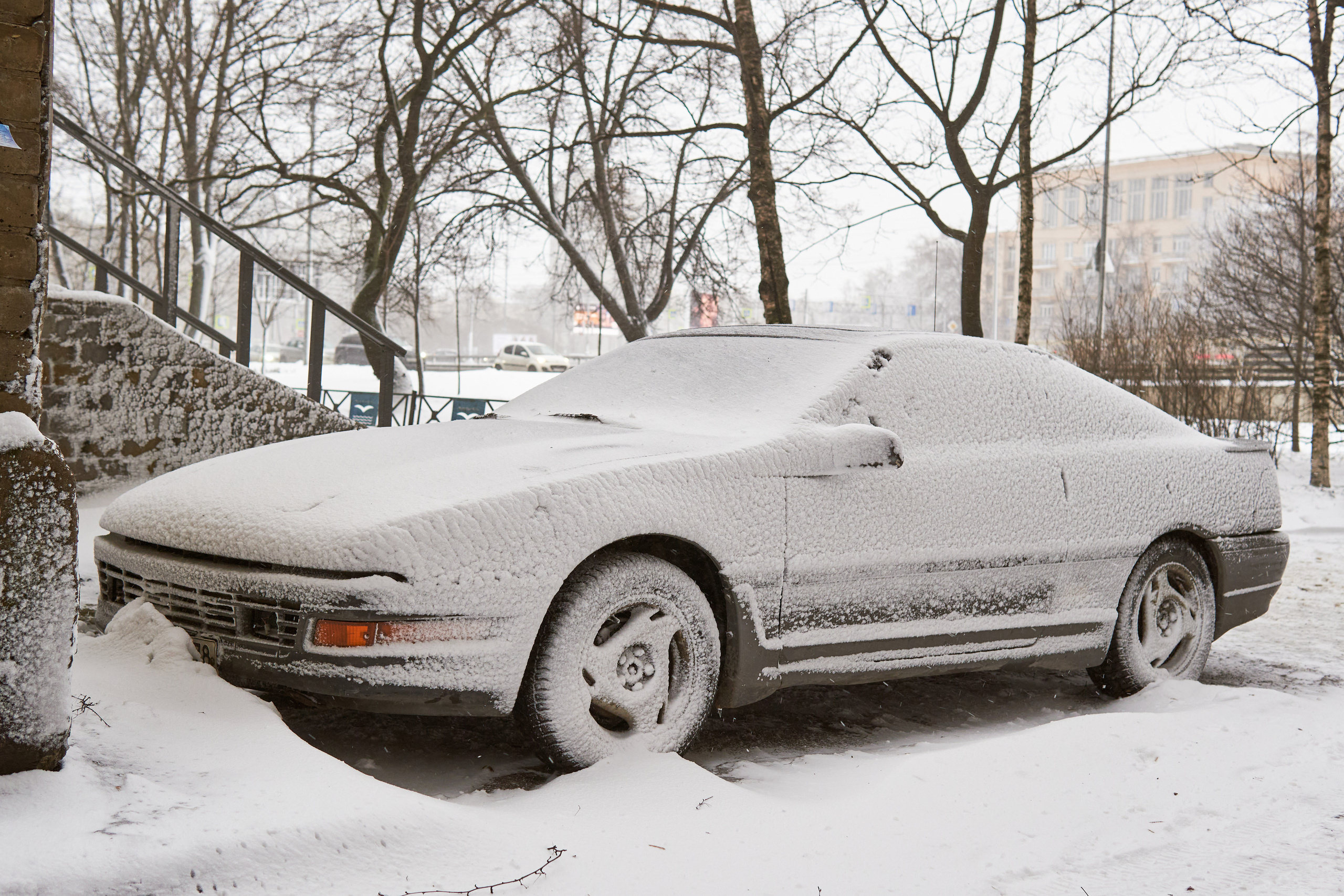 Художественный репортаж шторма в СПб. Фотограф людей и животных в Санкт-Петербурге Марина Бурмистрова