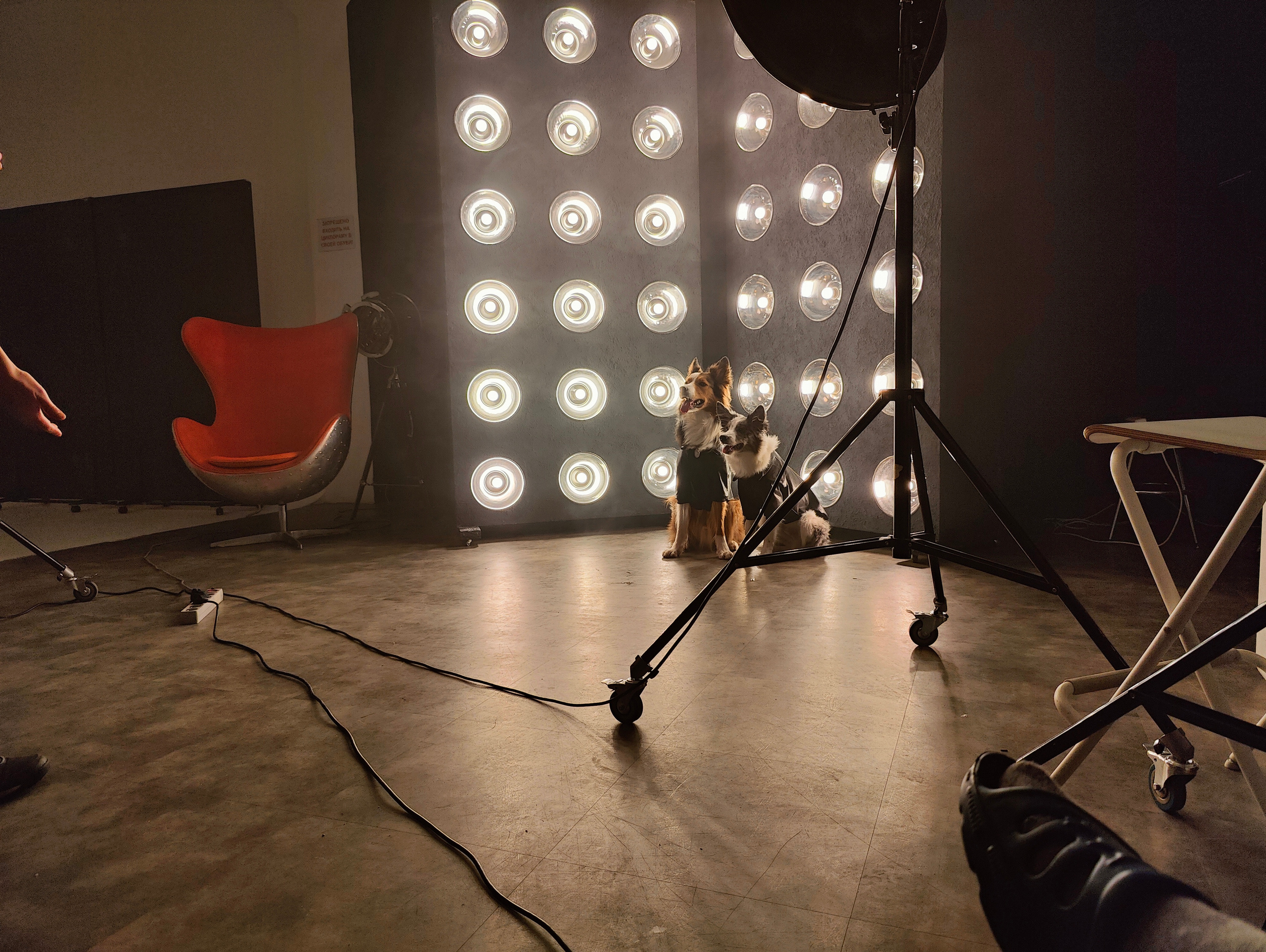 Бэкстейдж со съемки в стиле рок-звезд 😎. Фотограф людей и животных в Санкт-Петербурге Марина Бурмистрова