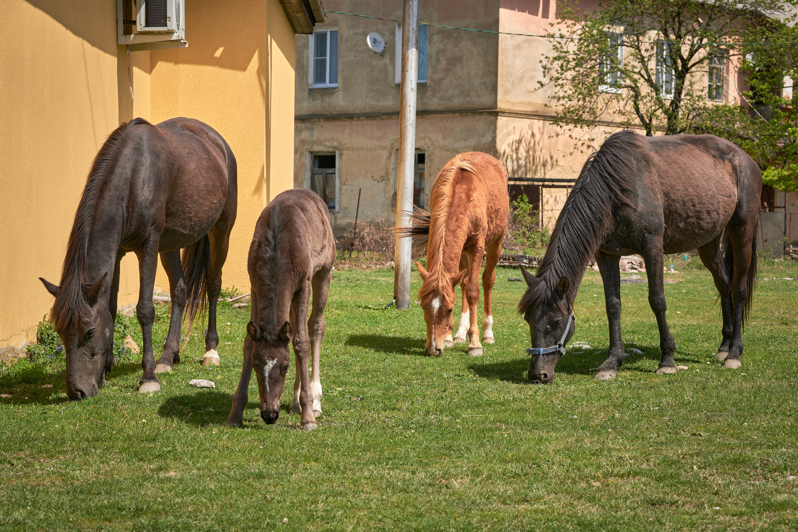 Абхазия 2022. Фотограф людей и животных в Санкт-Петербурге Марина Бурмистрова