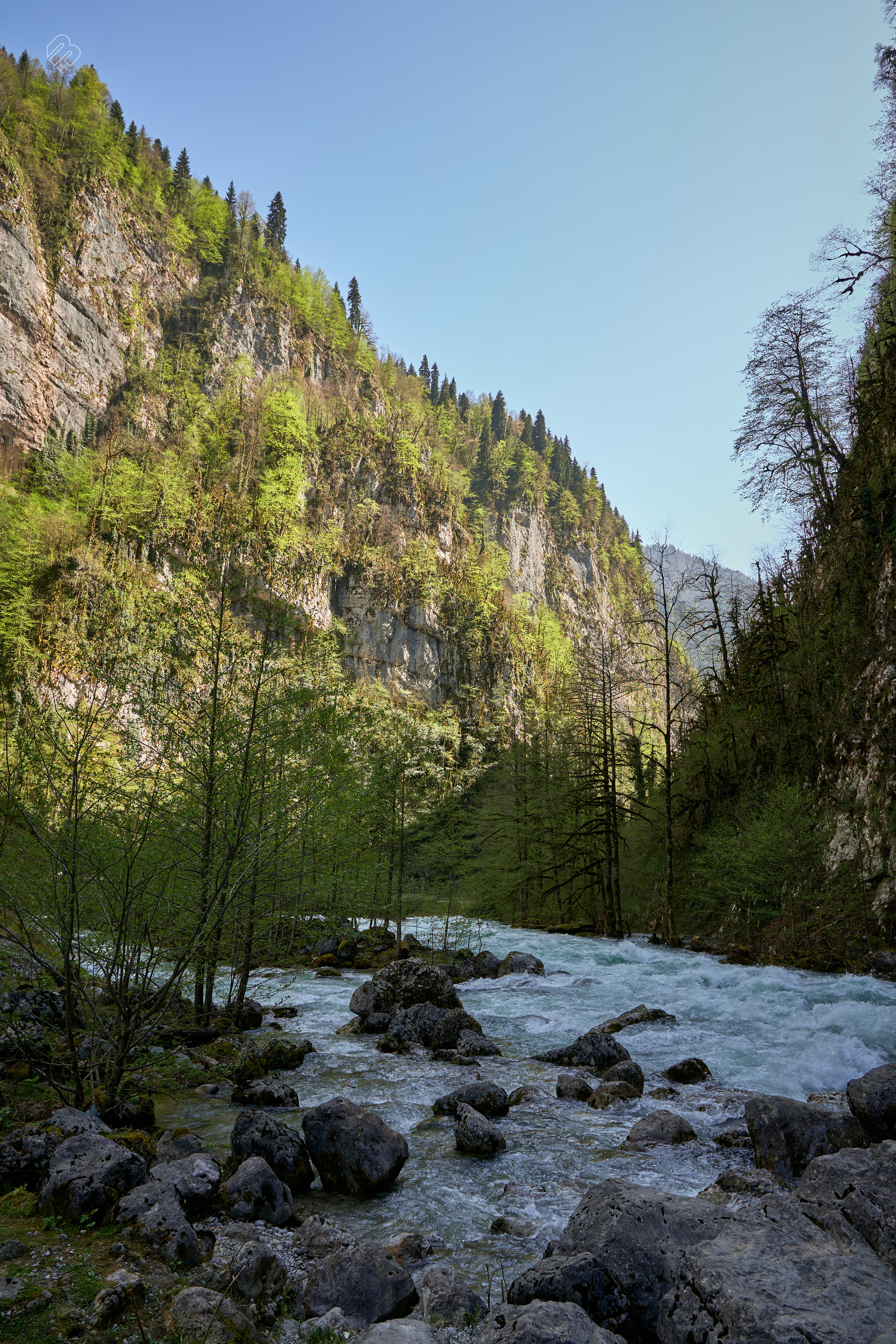 Абхазия 2022. Фотограф людей и животных в Санкт-Петербурге Марина Бурмистрова