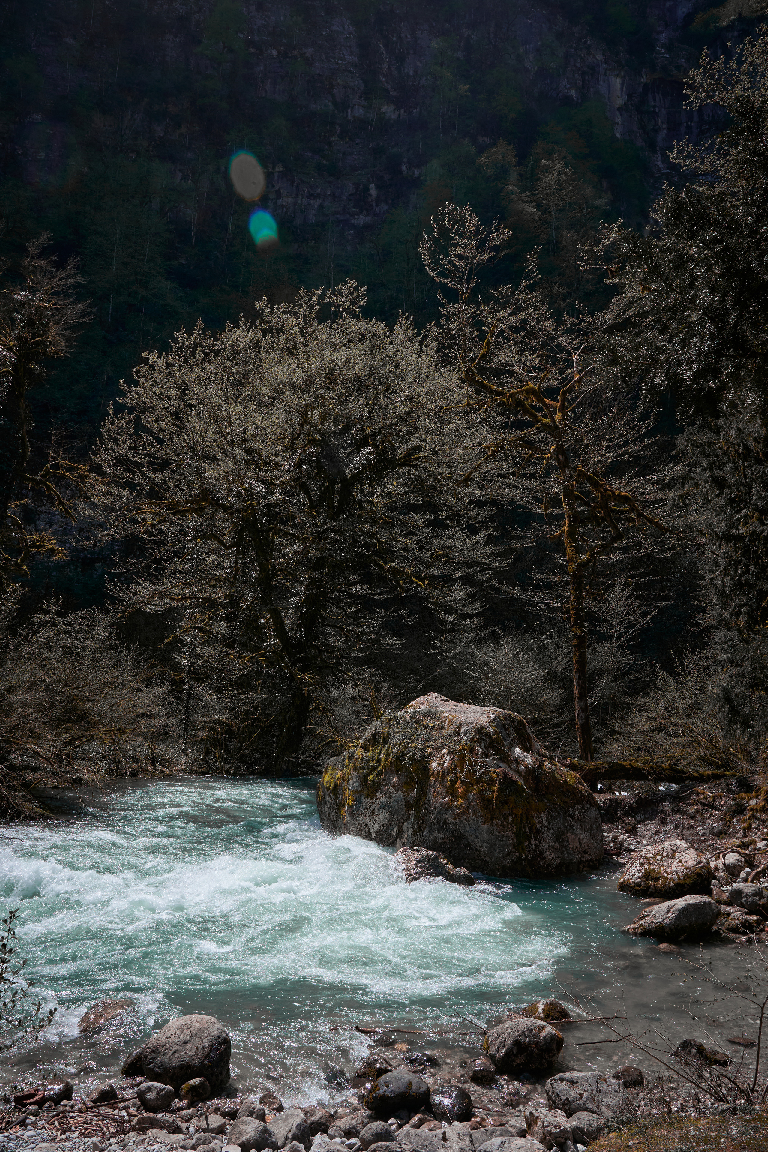 Абхазия 2022. Фотограф людей и животных в Санкт-Петербурге Марина Бурмистрова