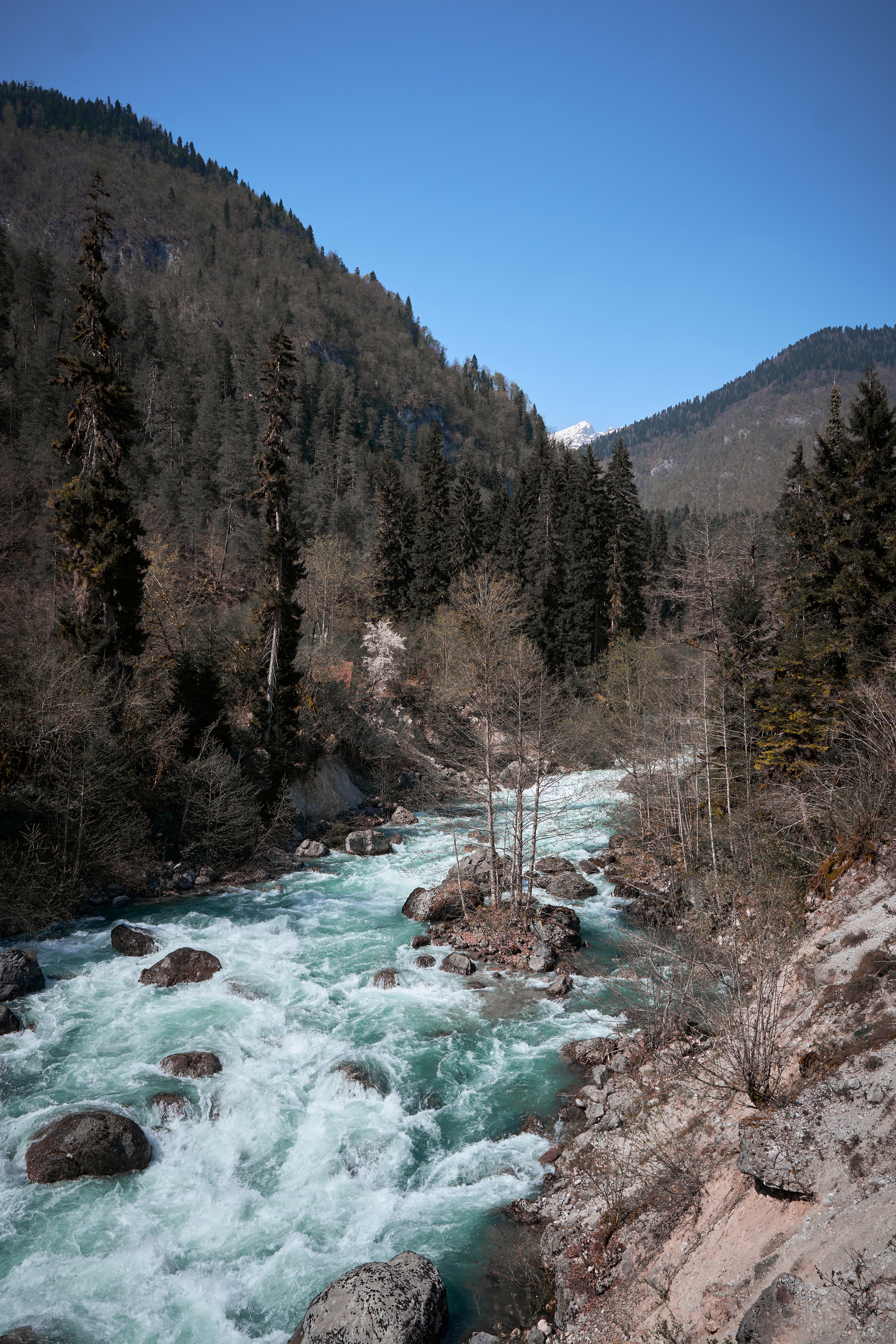 Абхазия 2022. Фотограф людей и животных в Санкт-Петербурге Марина Бурмистрова