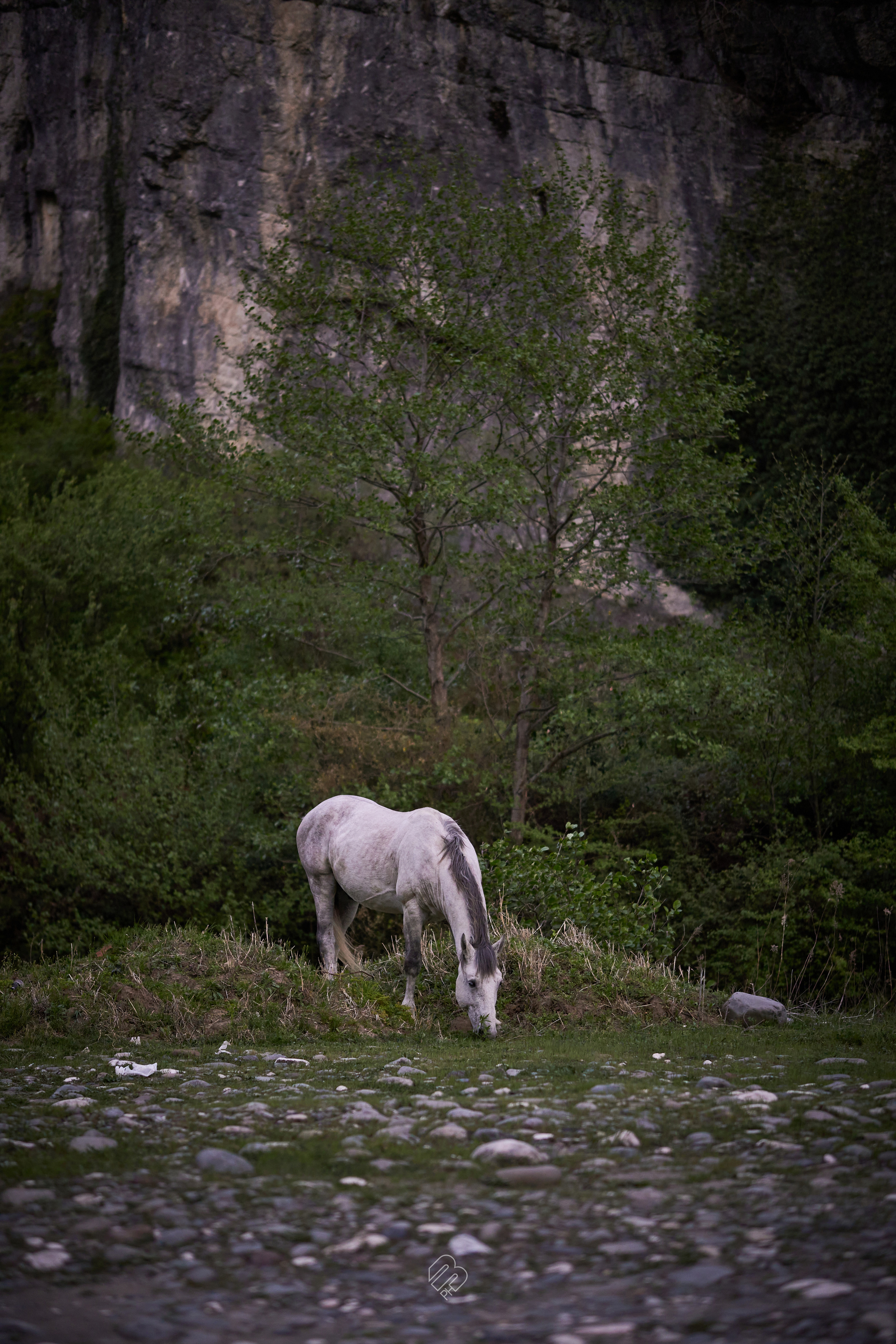 Абхазия 2022. Фотограф людей и животных в Санкт-Петербурге Марина Бурмистрова