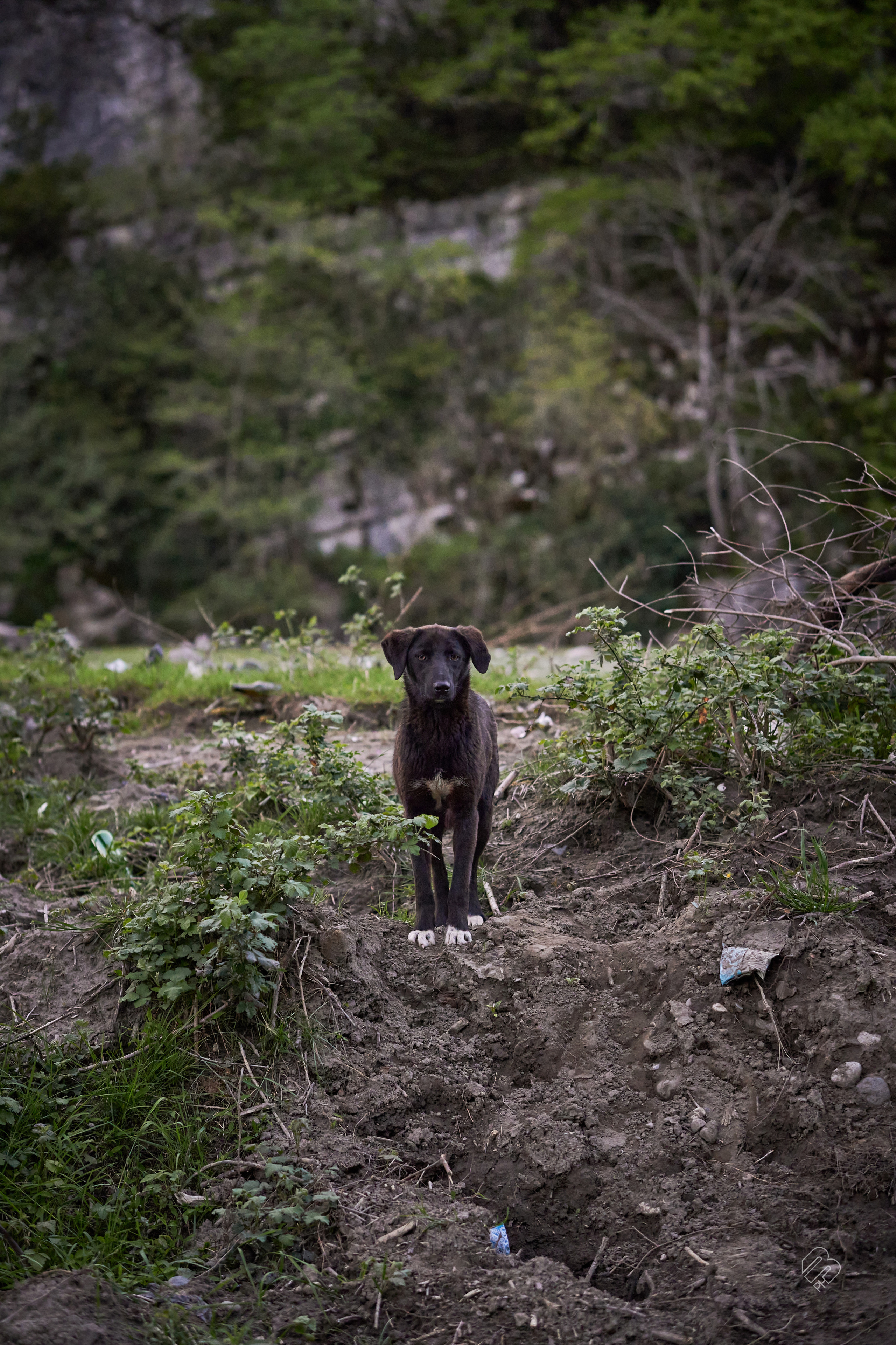 Абхазия 2022. Фотограф людей и животных в Санкт-Петербурге Марина Бурмистрова
