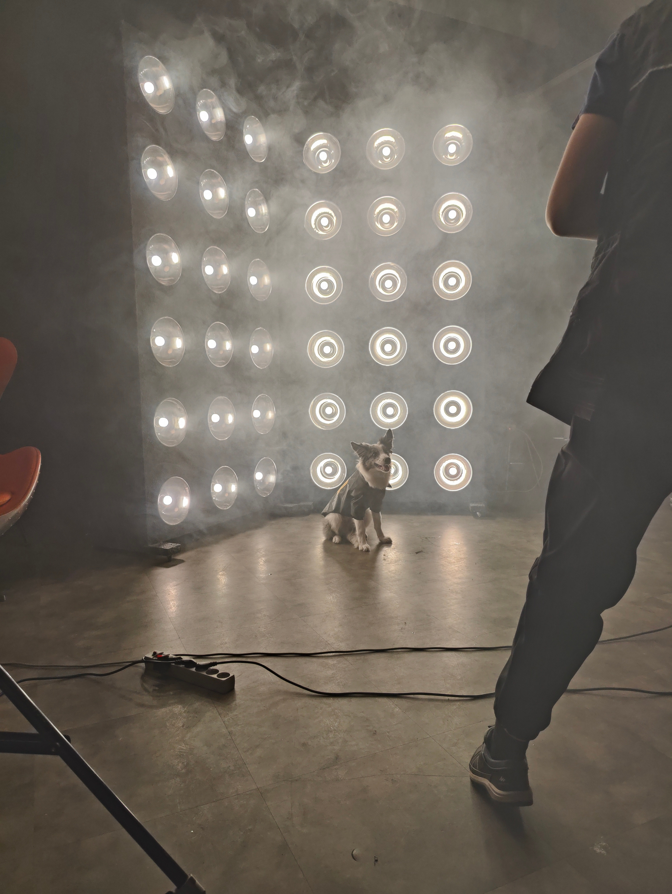 Бэкстейдж со съемки в стиле рок-звезд 😎. Фотограф людей и животных в Санкт-Петербурге Марина Бурмистрова