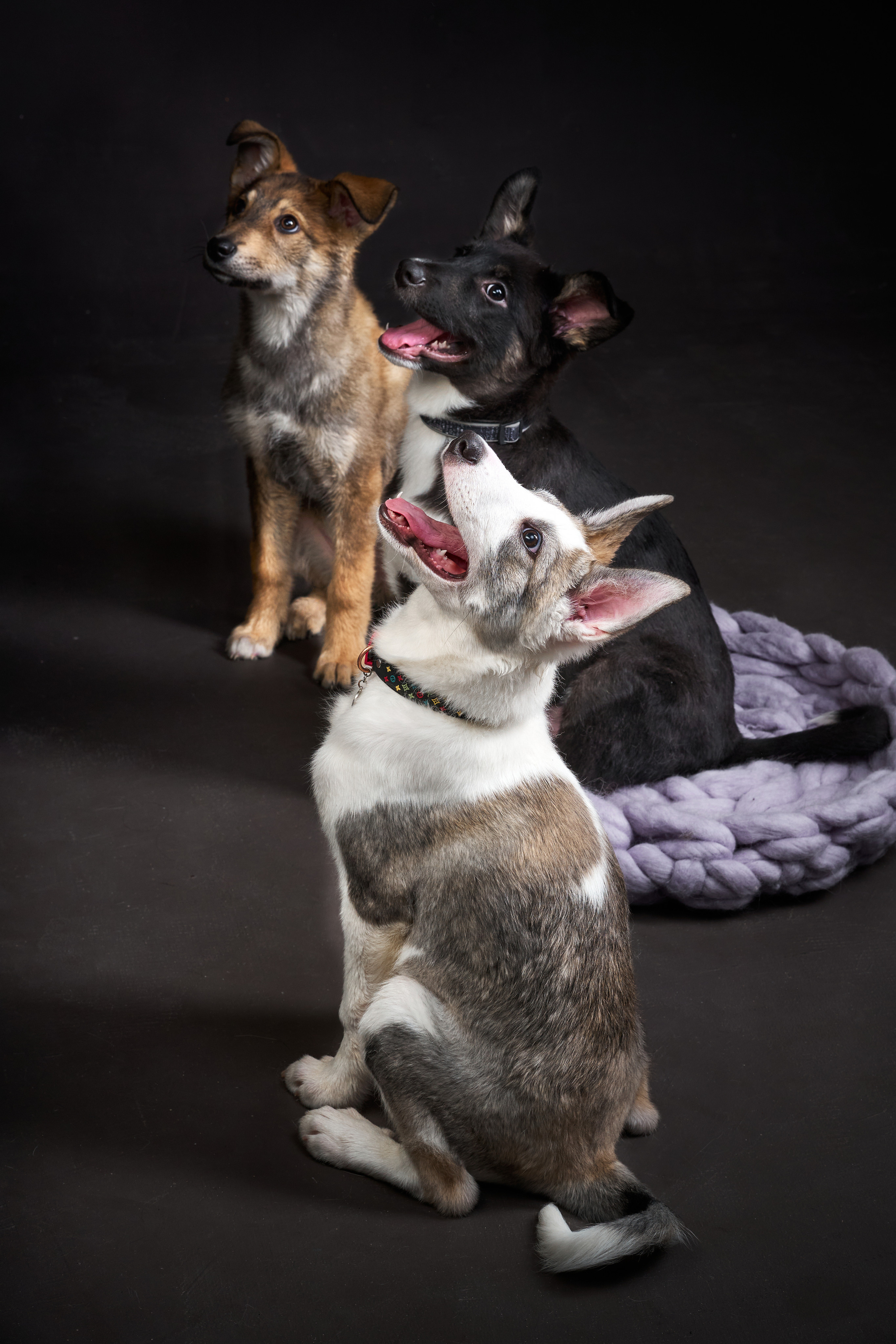 Студийные. Фотограф людей и животных в Санкт-Петербурге Марина Бурмистрова