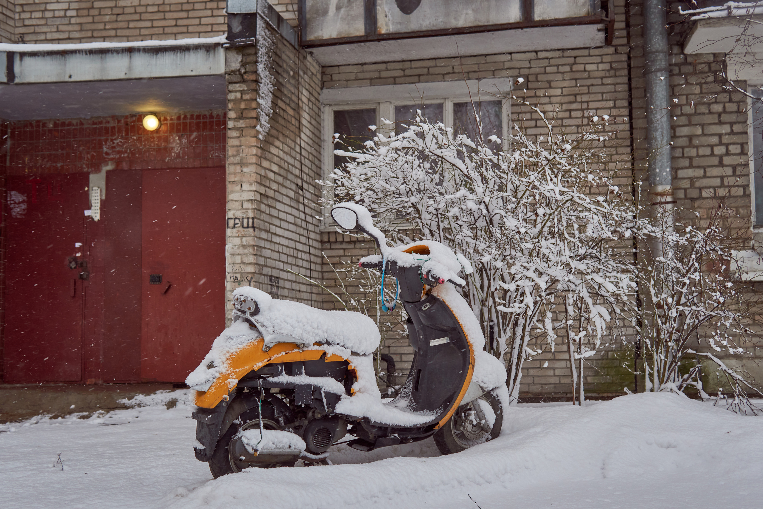 Художественный репортаж шторма в СПб. Фотограф людей и животных в Санкт-Петербурге Марина Бурмистрова