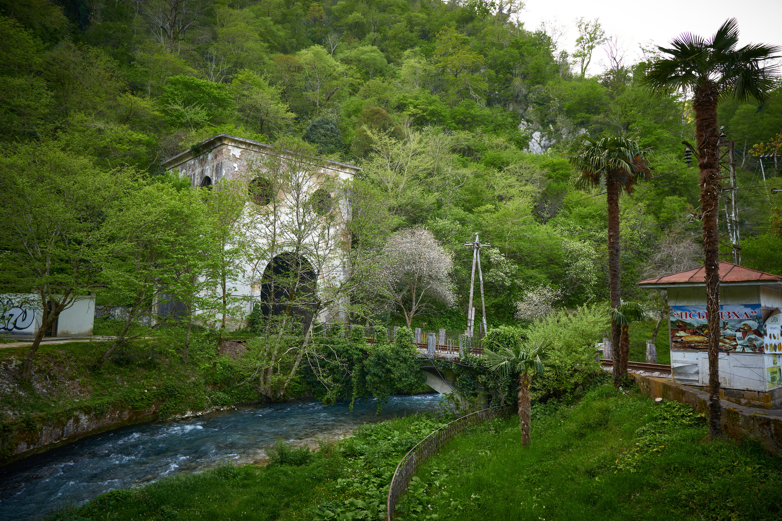 Абхазия 2022. Фотограф людей и животных в Санкт-Петербурге Марина Бурмистрова