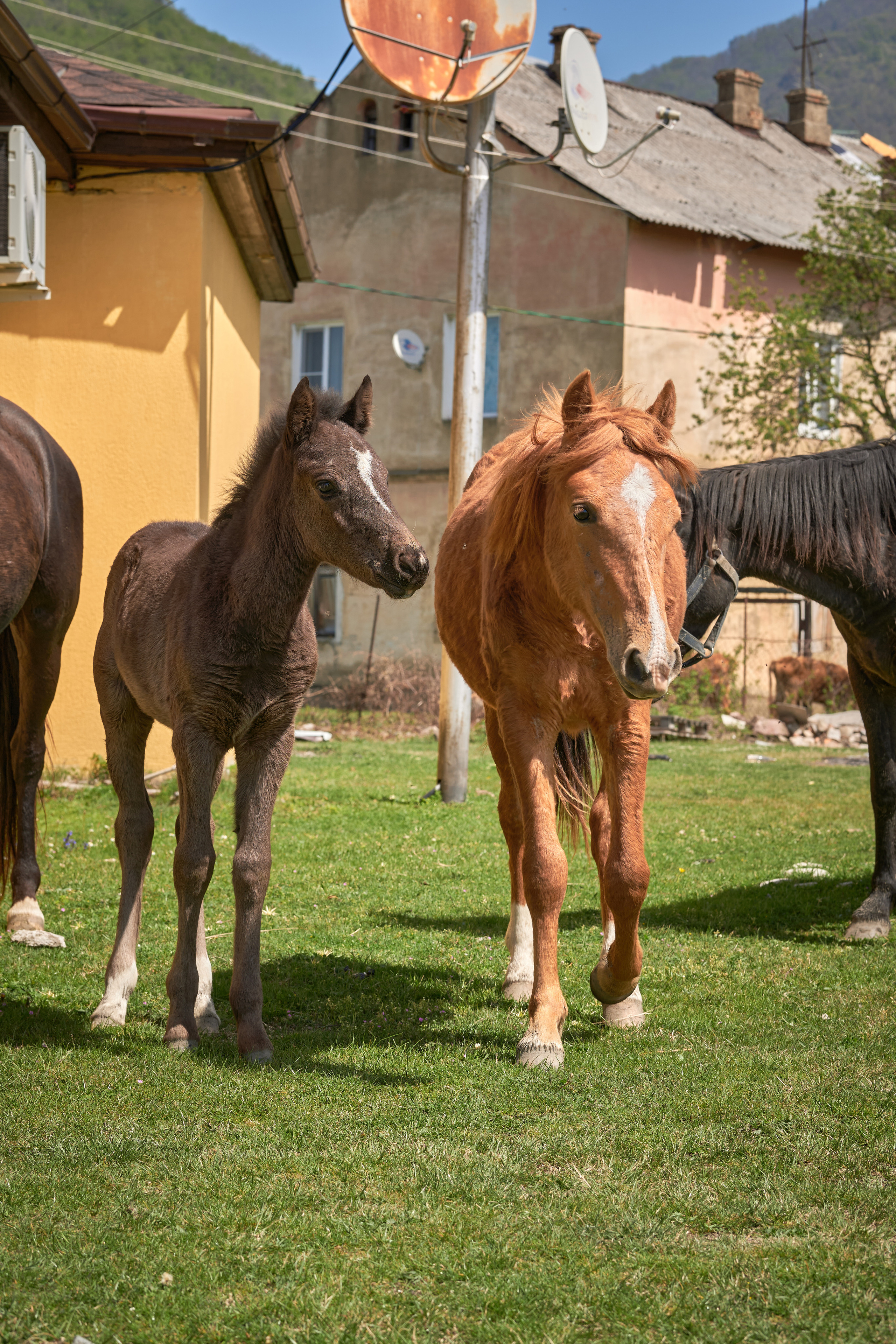 Абхазия 2022. Фотограф людей и животных в Санкт-Петербурге Марина Бурмистрова