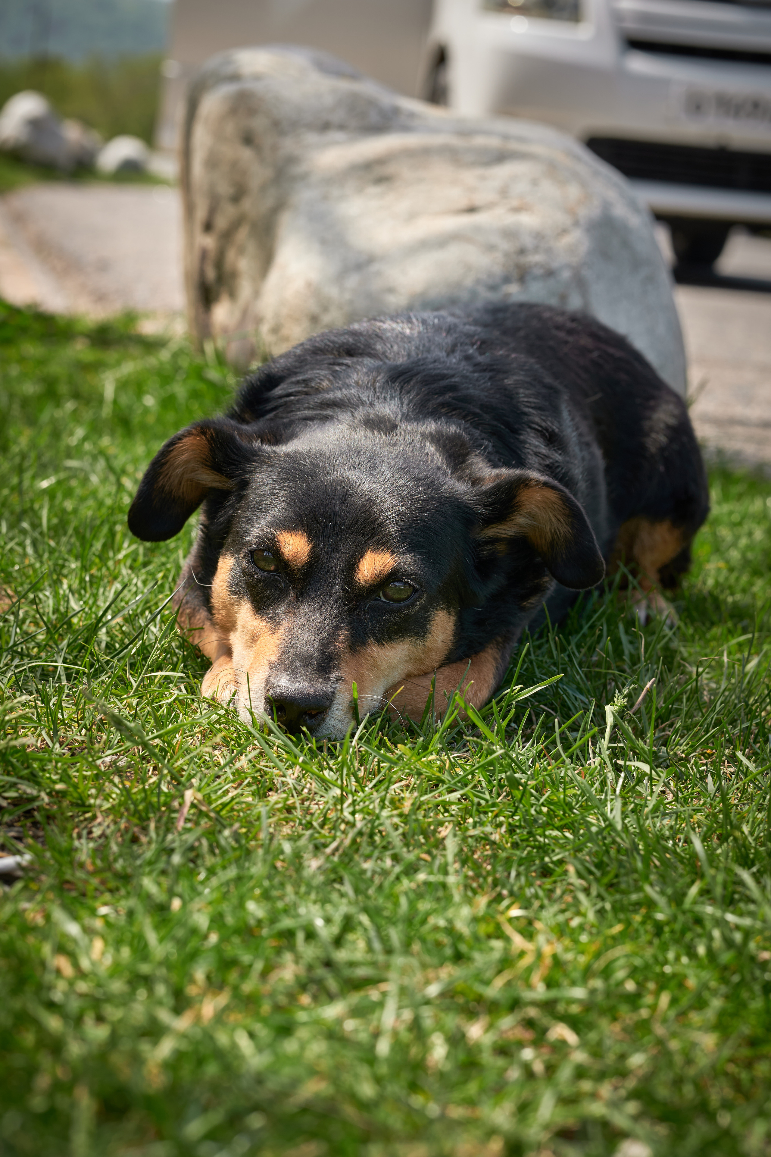Абхазия 2022. Фотограф людей и животных в Санкт-Петербурге Марина Бурмистрова