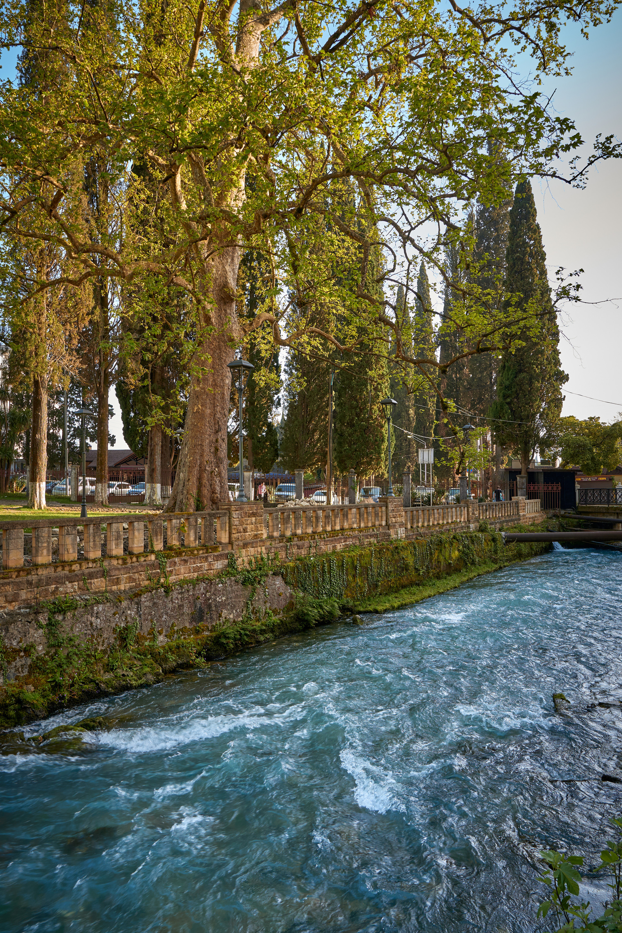 Абхазия 2022. Фотограф людей и животных в Санкт-Петербурге Марина Бурмистрова