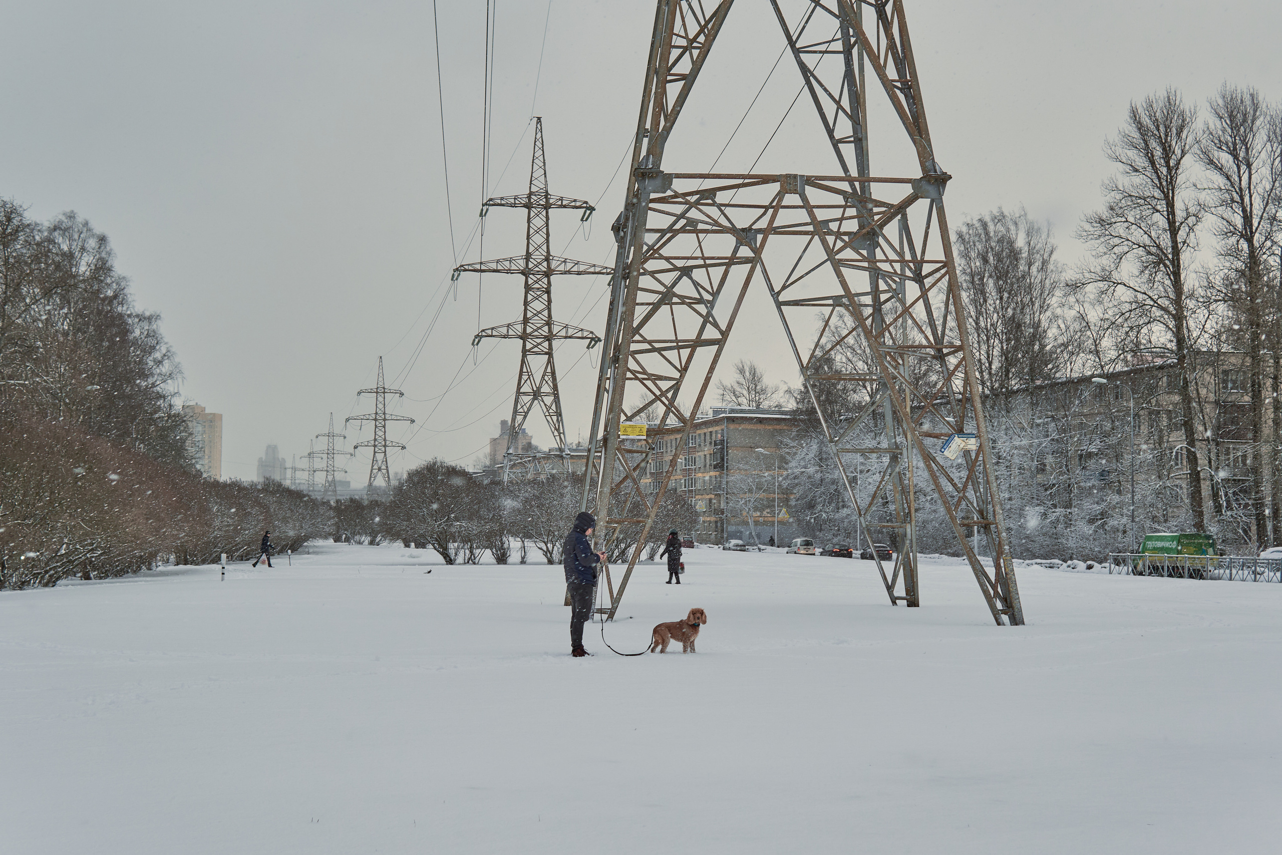 Художественный репортаж шторма в СПб. Фотограф людей и животных в Санкт-Петербурге Марина Бурмистрова