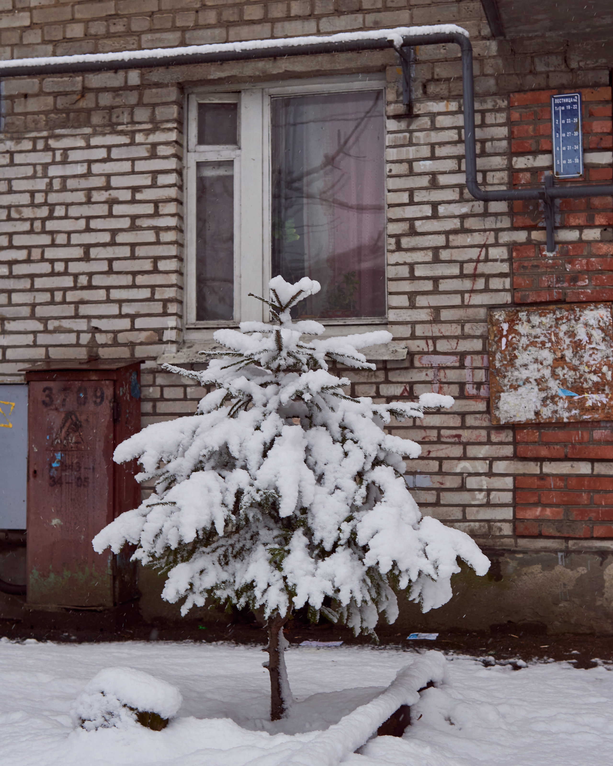 Художественный репортаж шторма в СПб. Фотограф людей и животных в Санкт-Петербурге Марина Бурмистрова